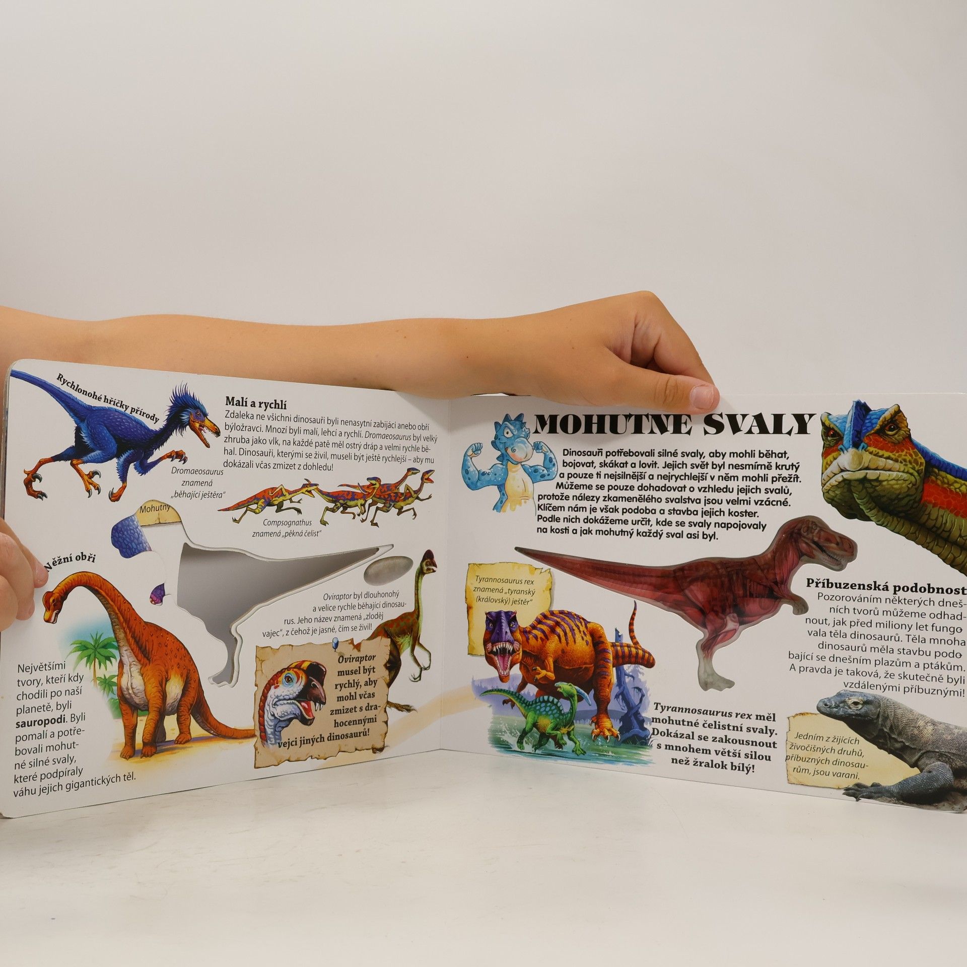 Various authors Dinosauři pod rentgenem: Co se skrývá uvnitř?