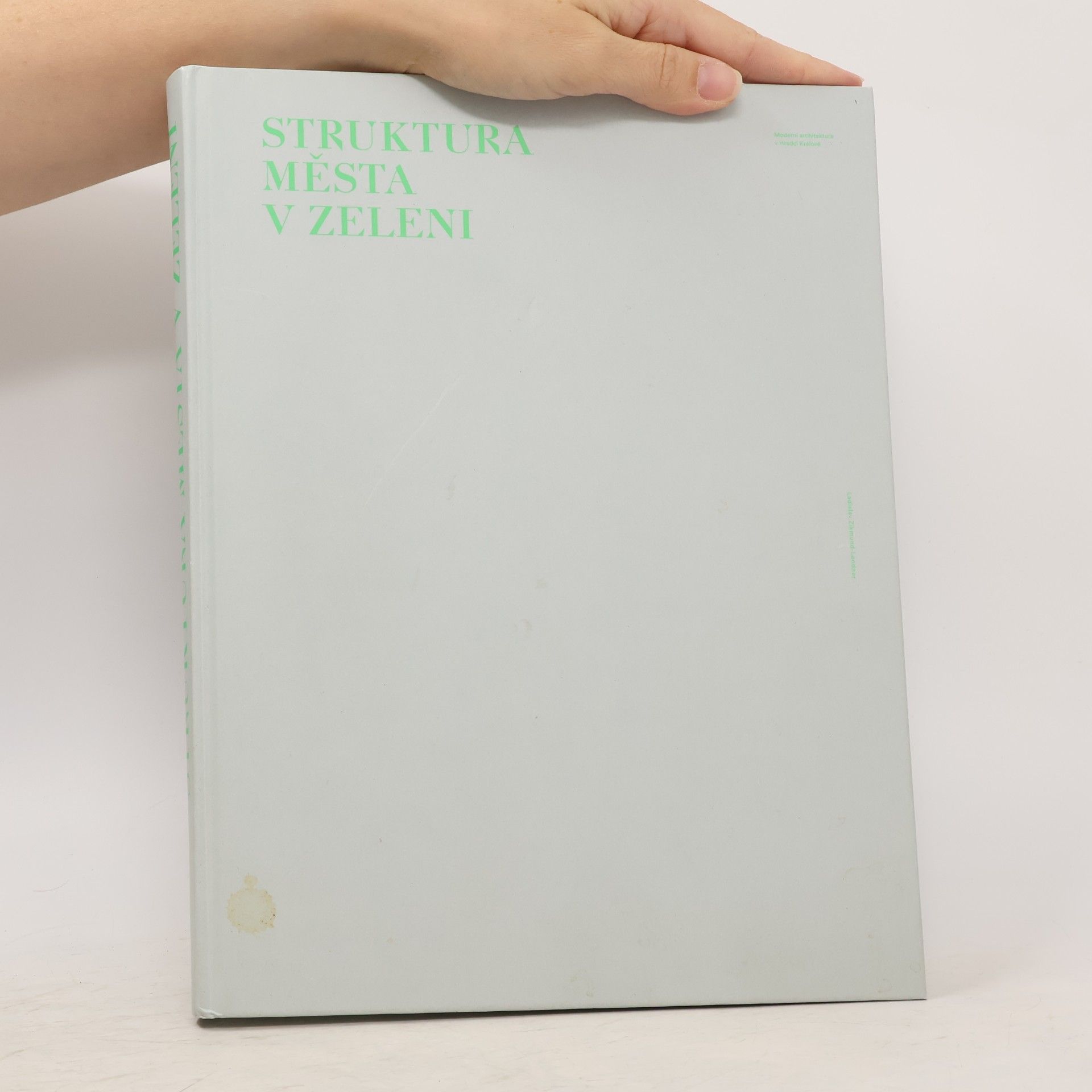 Ladislav Zikmund Lender Struktura města v zeleni