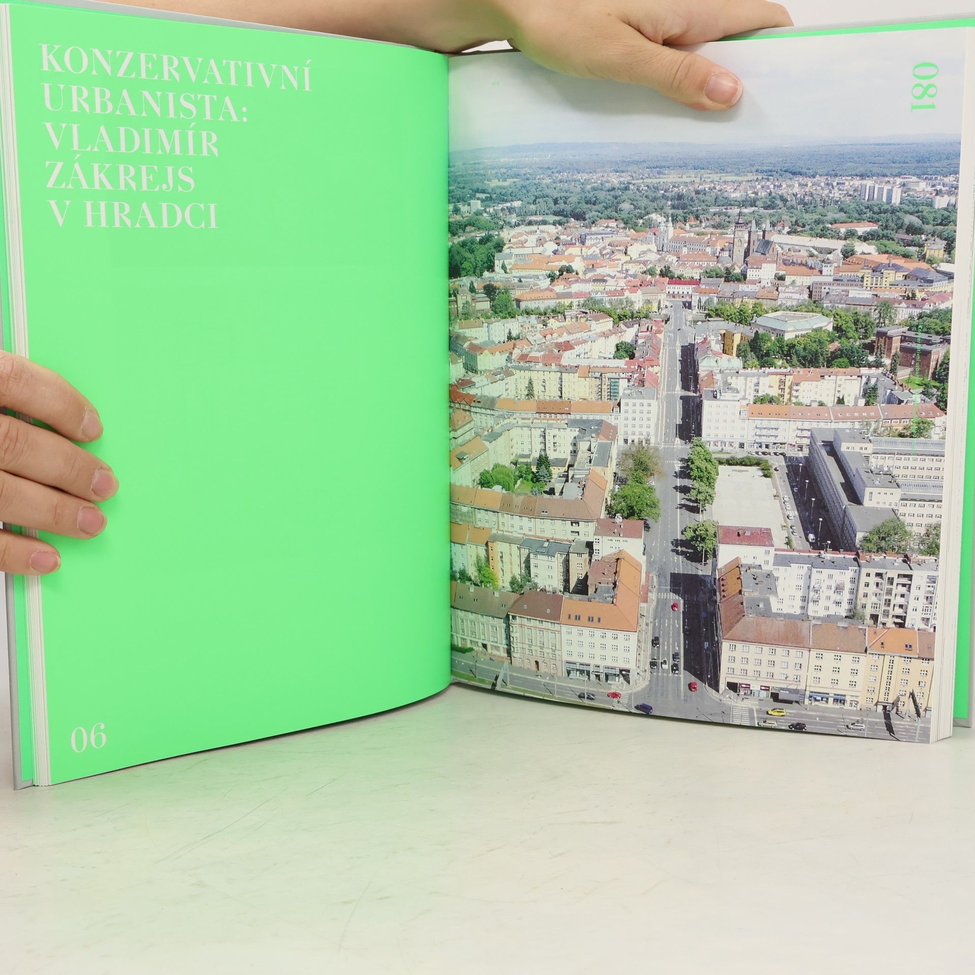 Ladislav Zikmund Lender Struktura města v zeleni