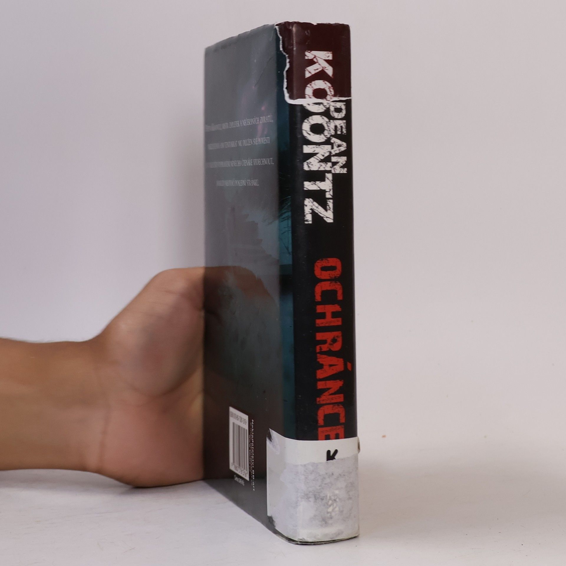 Dean Ray Koontz Ochránce