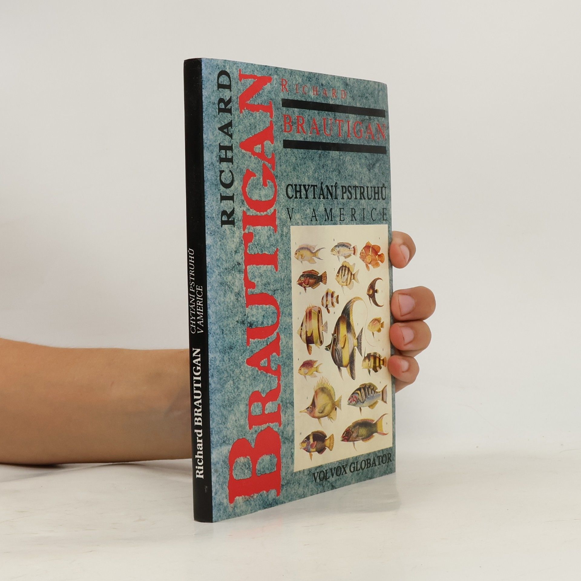 Richard Brautigan Chytání pstruhů v Americe
