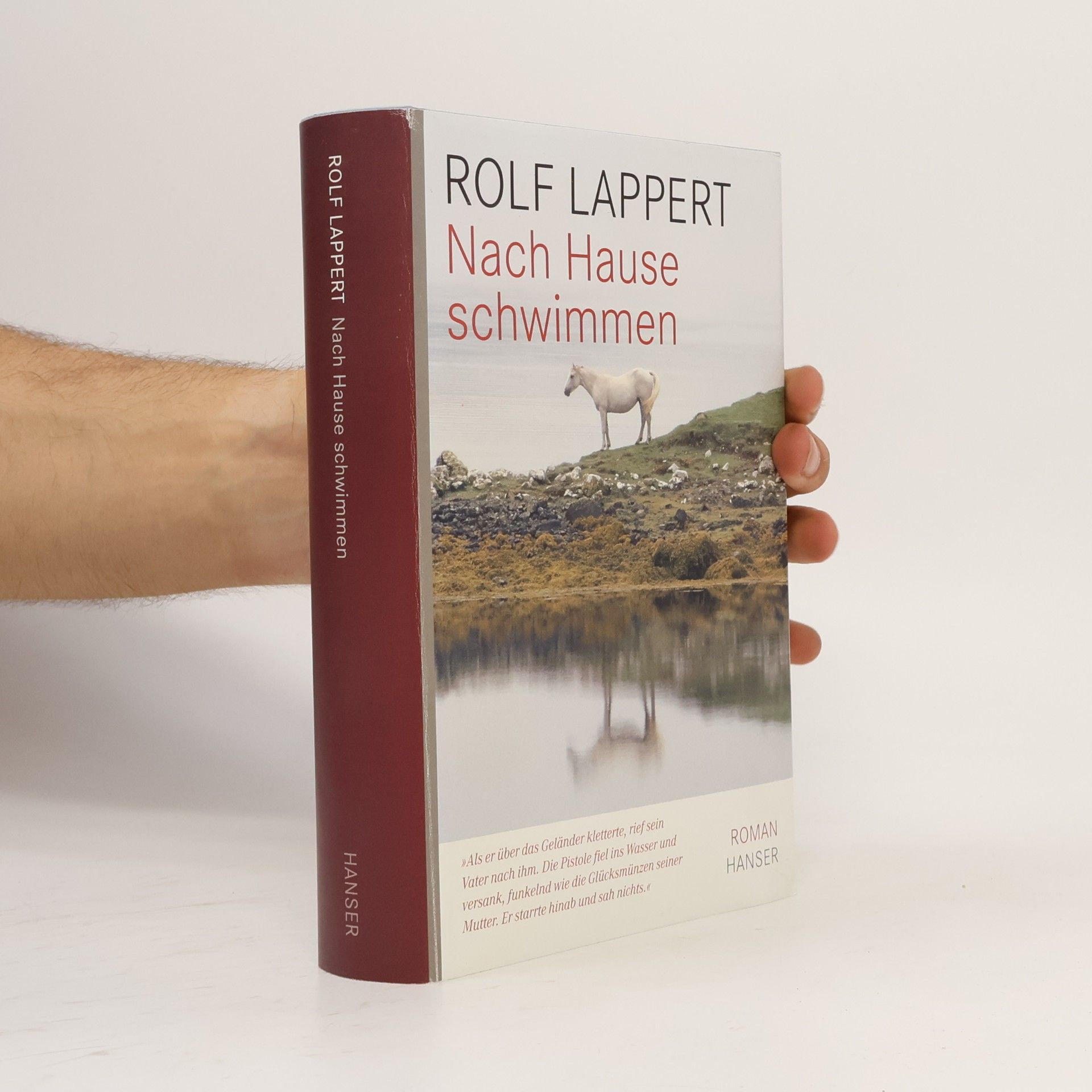 Rolf Lappert Nach Hause schwimmen