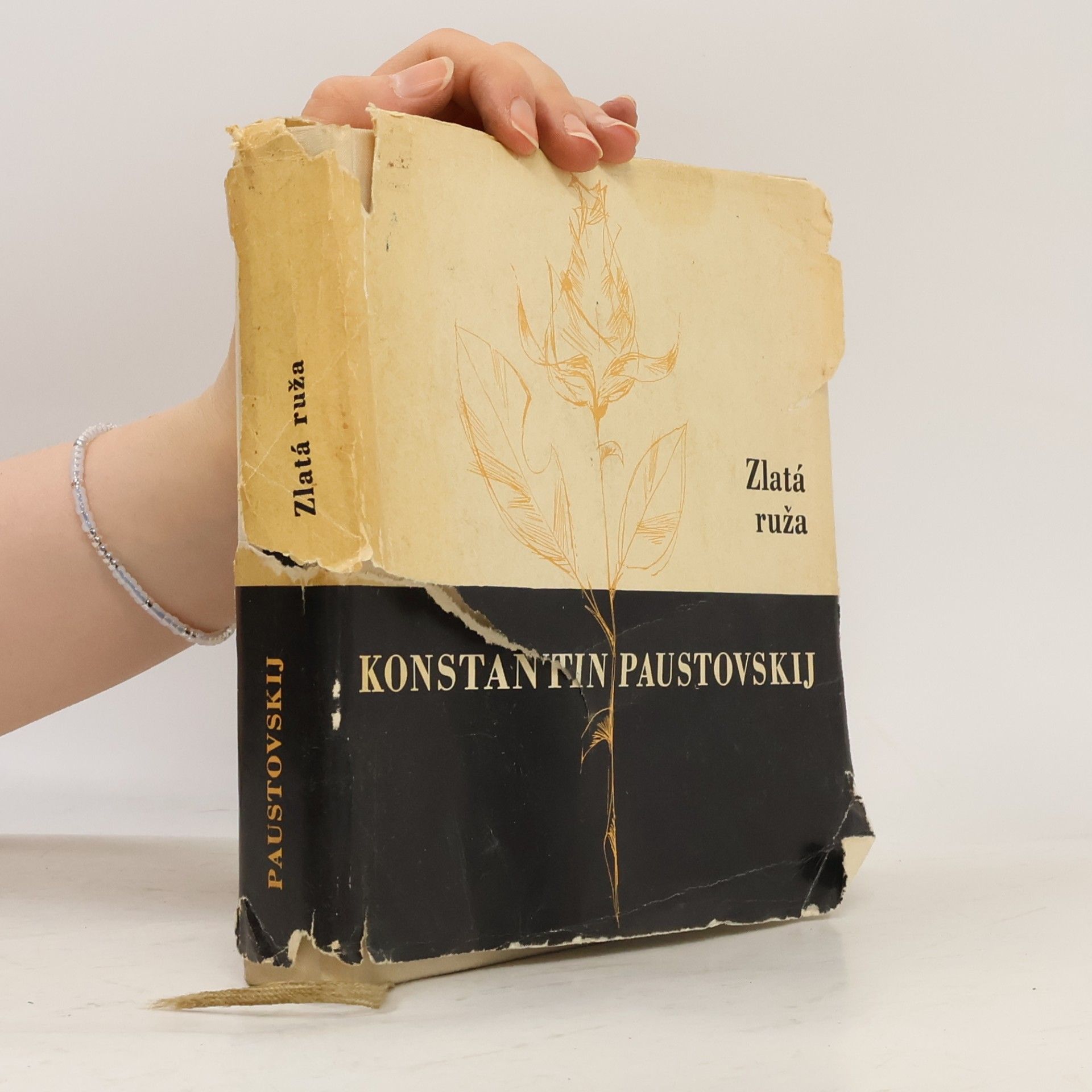 Konstantin Paustovski Zlatá ruža