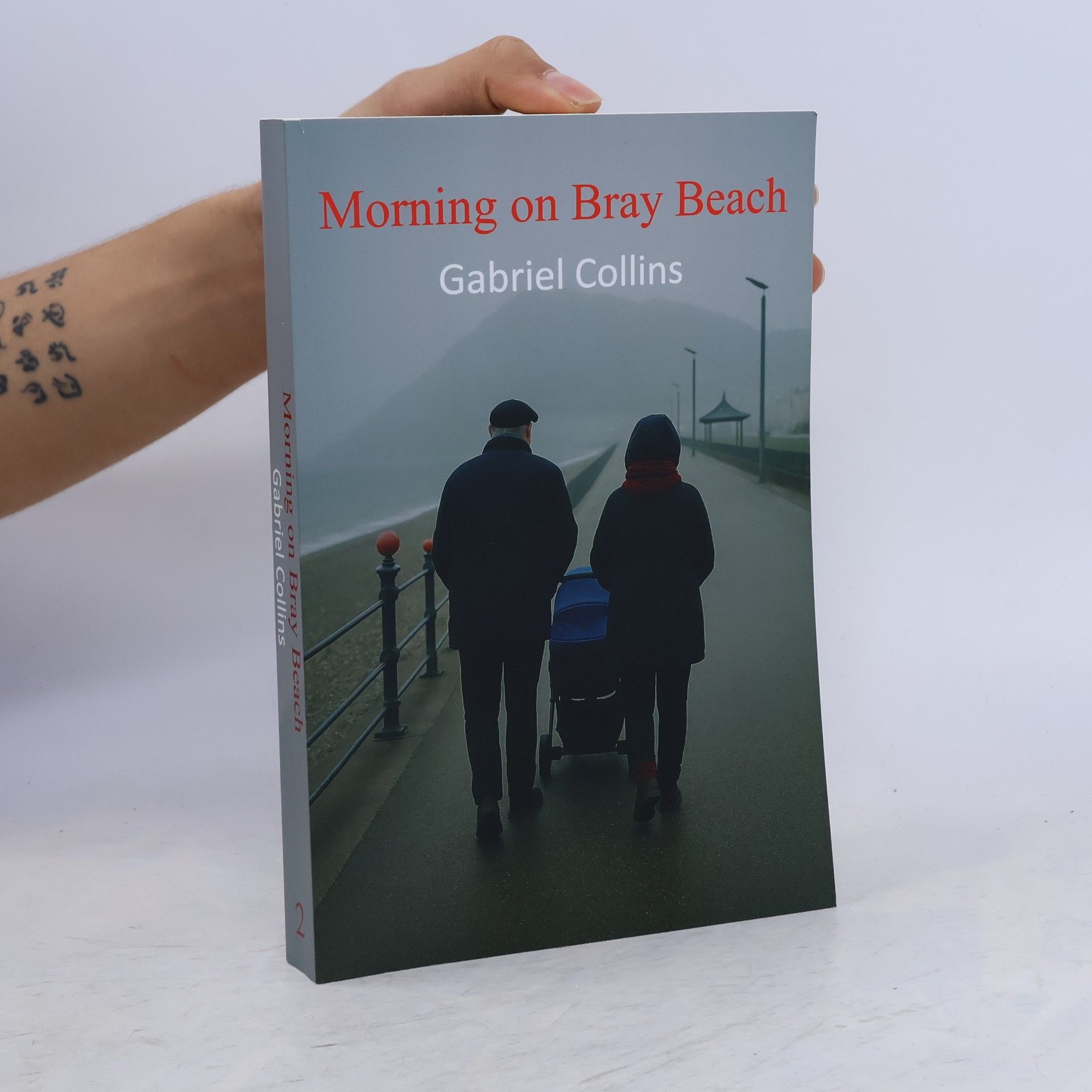 Gabriel Collins Morning on Bray Beach