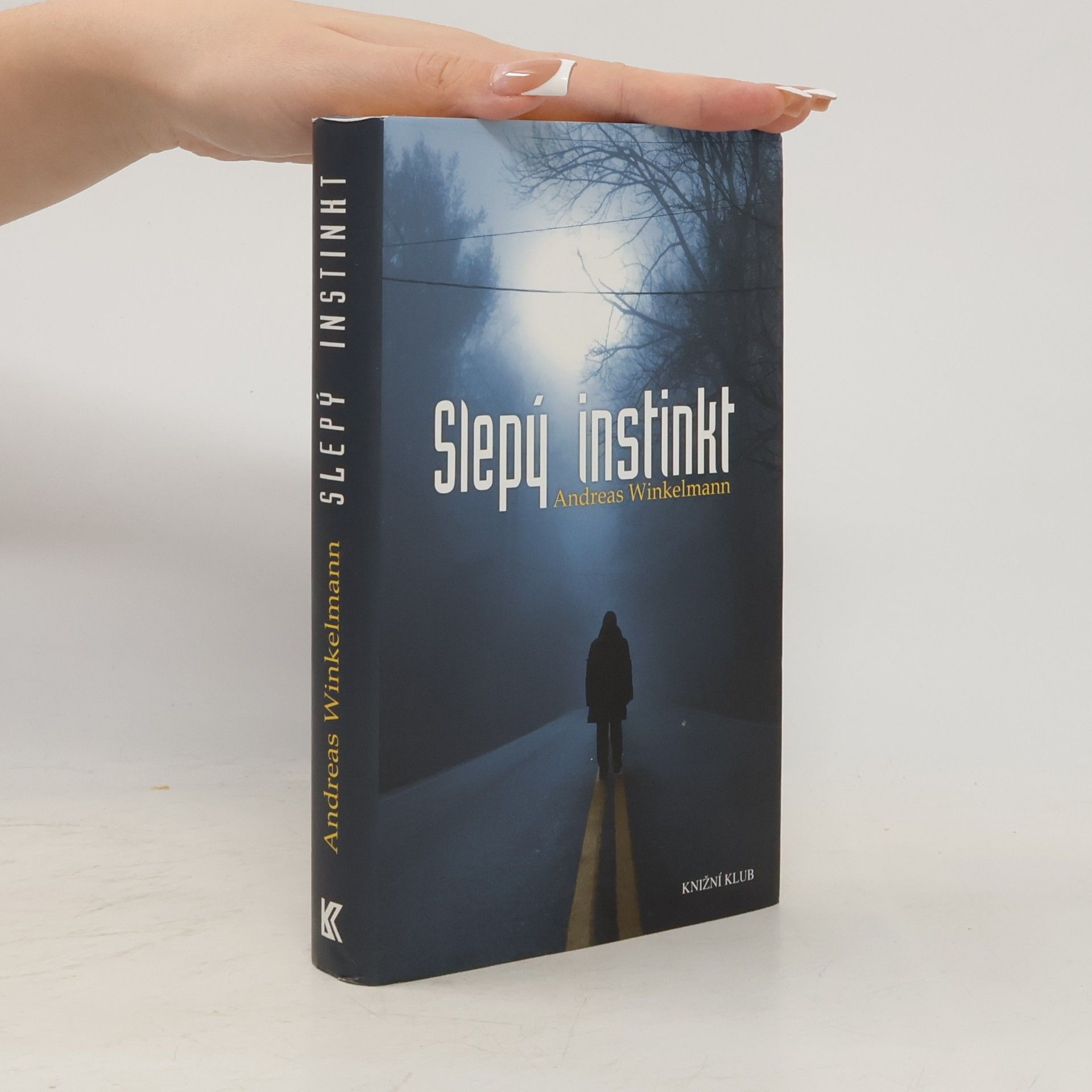 Hendrik Winter Slepý instinkt