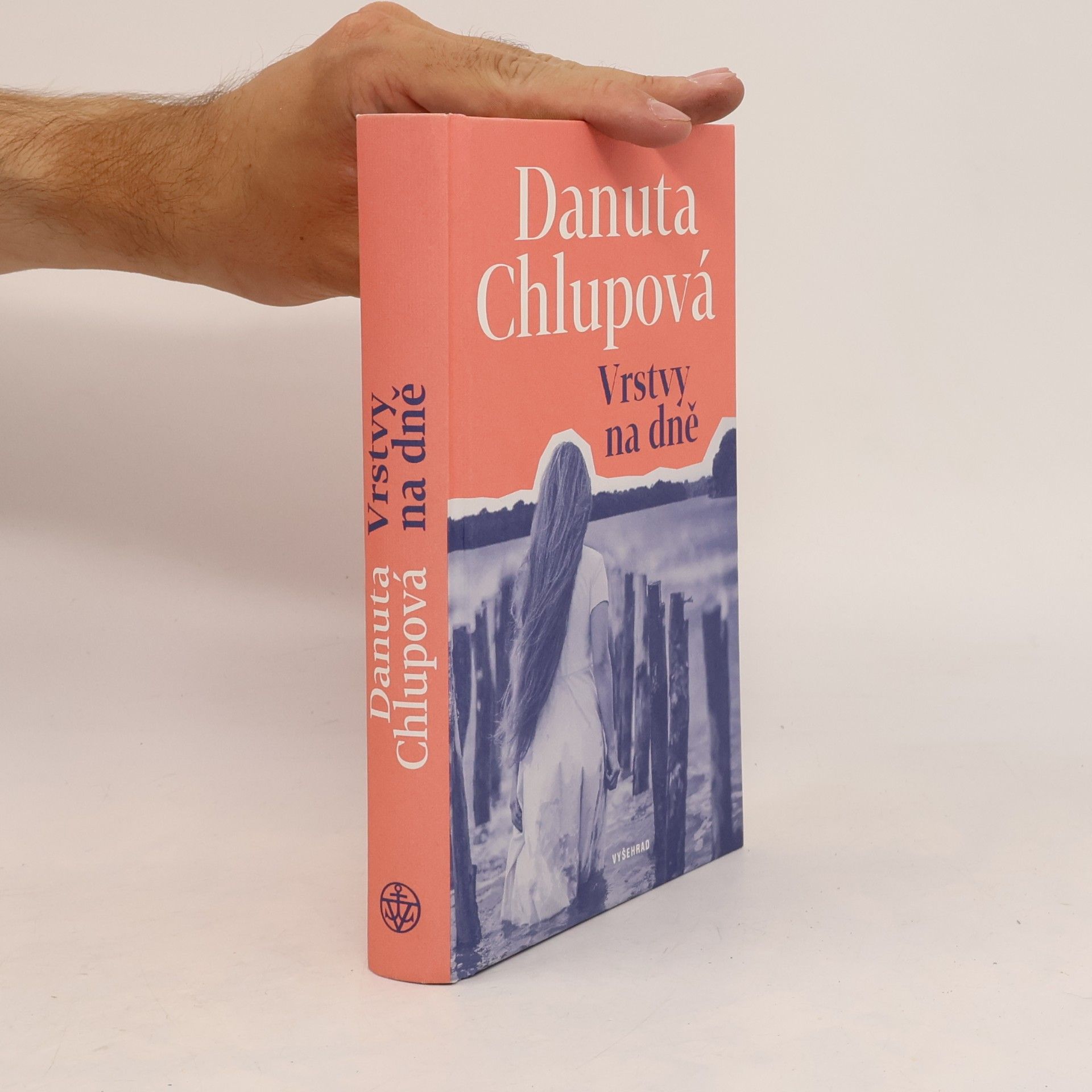 Danuta Chlupová Vrstvy na dně