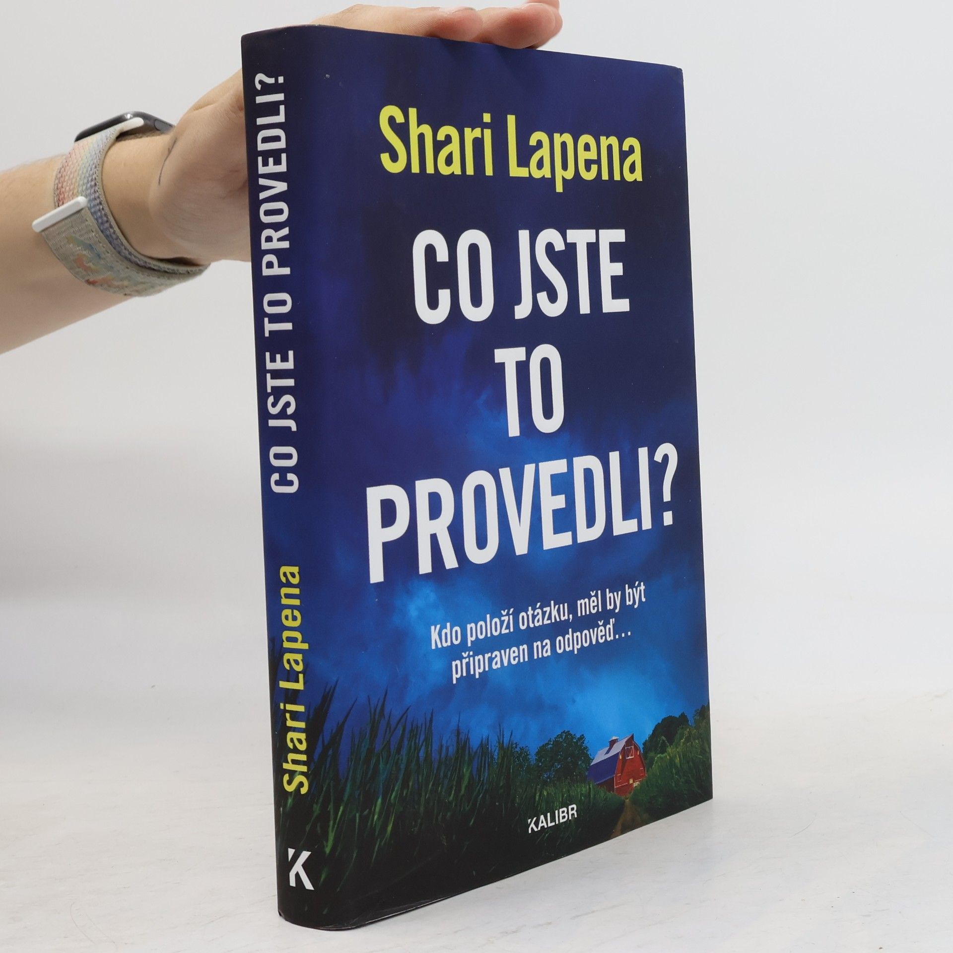 Shari Lapena Co jste to provedli?