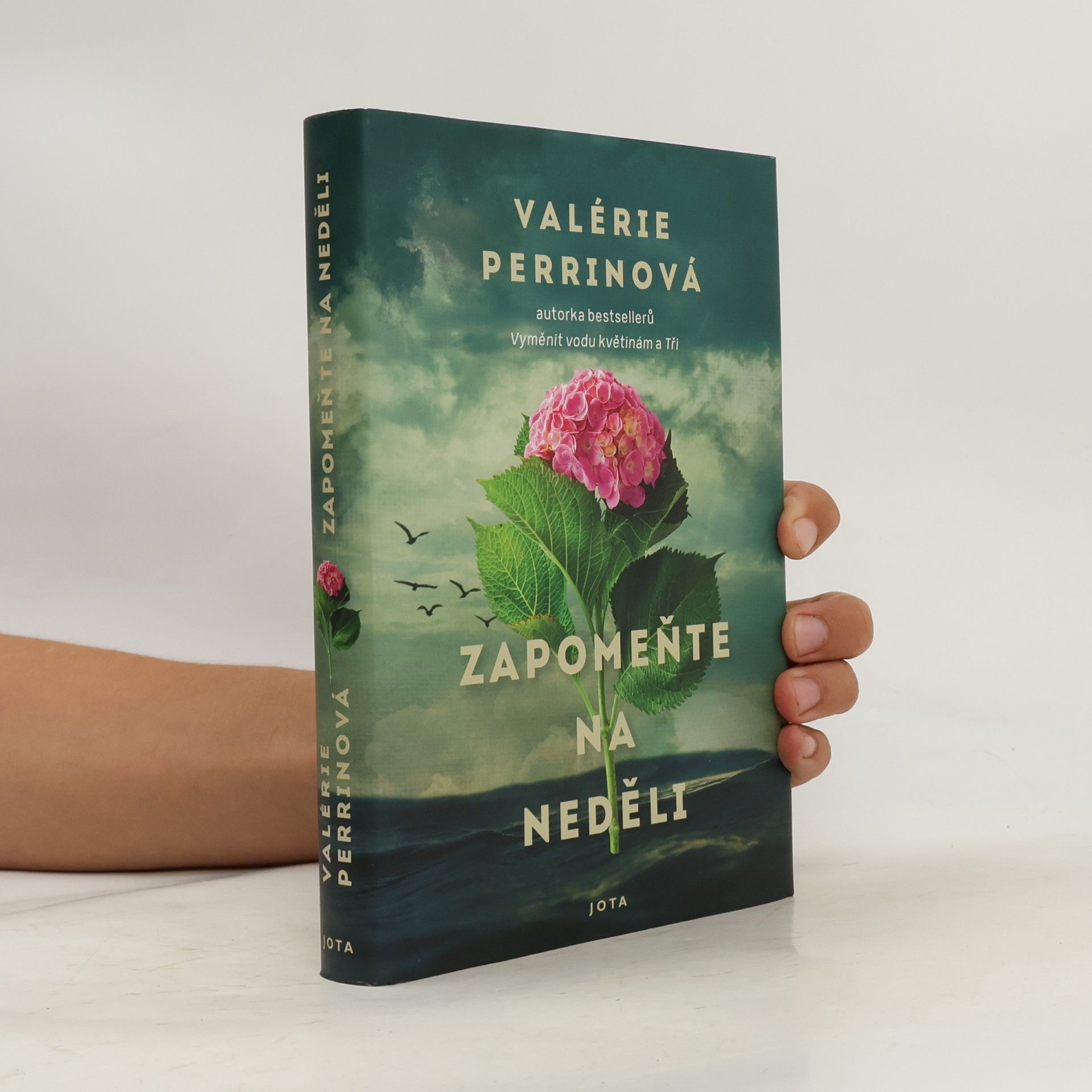 Valérie Perrin Zapomeňte na neděli