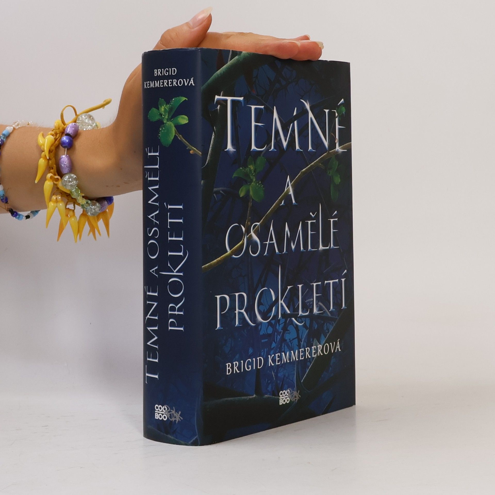 Brigid Kemmerer Temné a osamělé prokletí