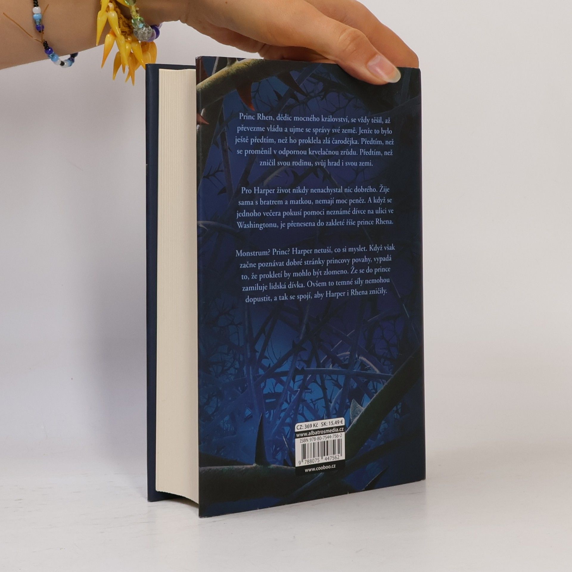 Brigid Kemmerer Temné a osamělé prokletí