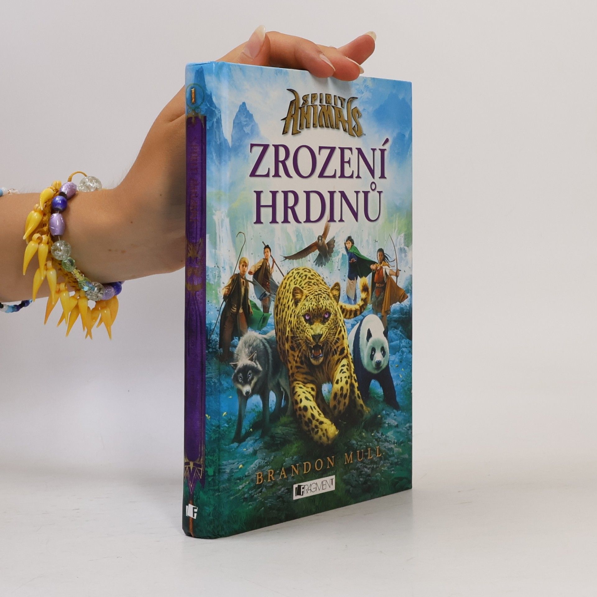 Brandon Mull Zrození hrdinů