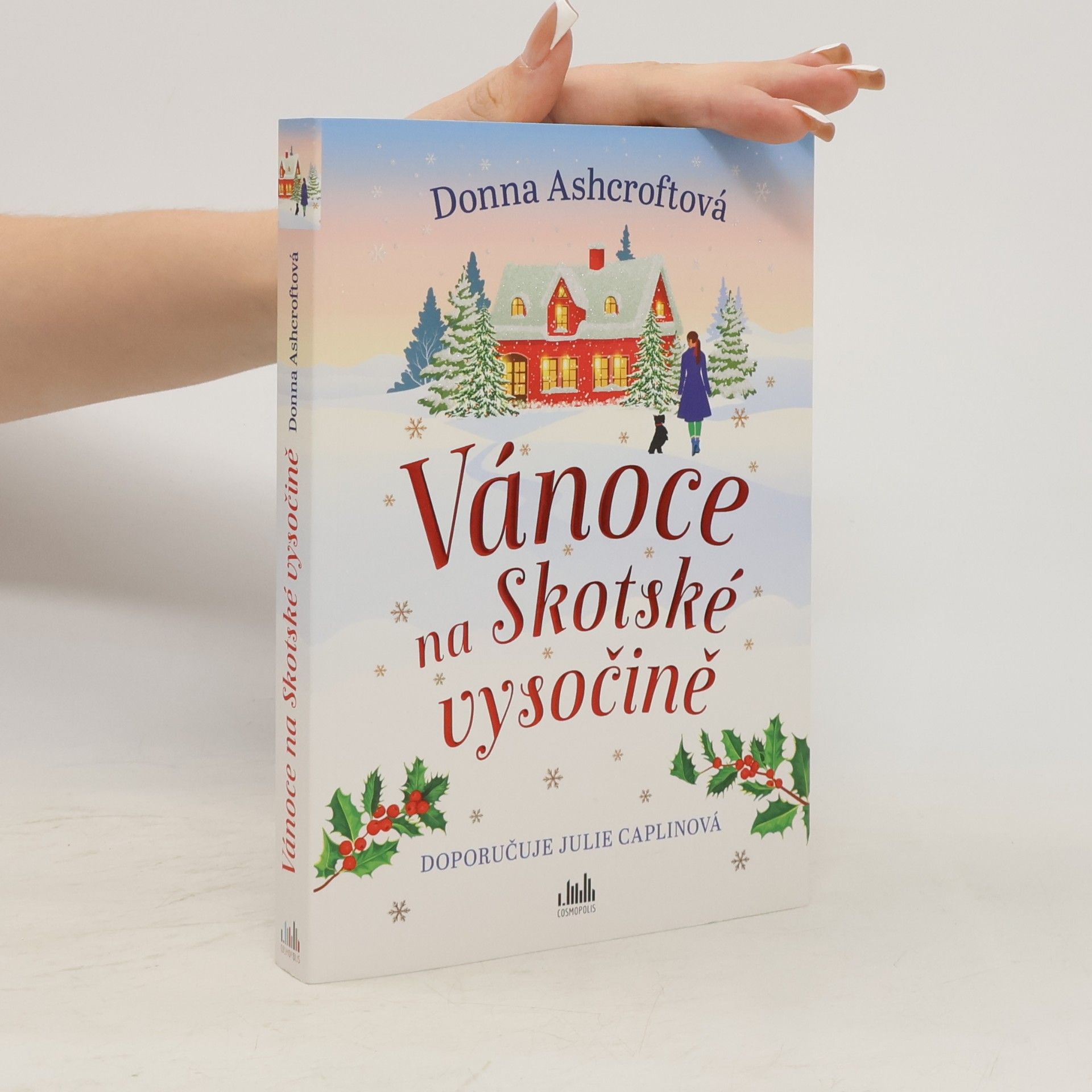 Donna Ashcroft Vánoce na Skotské vysočině