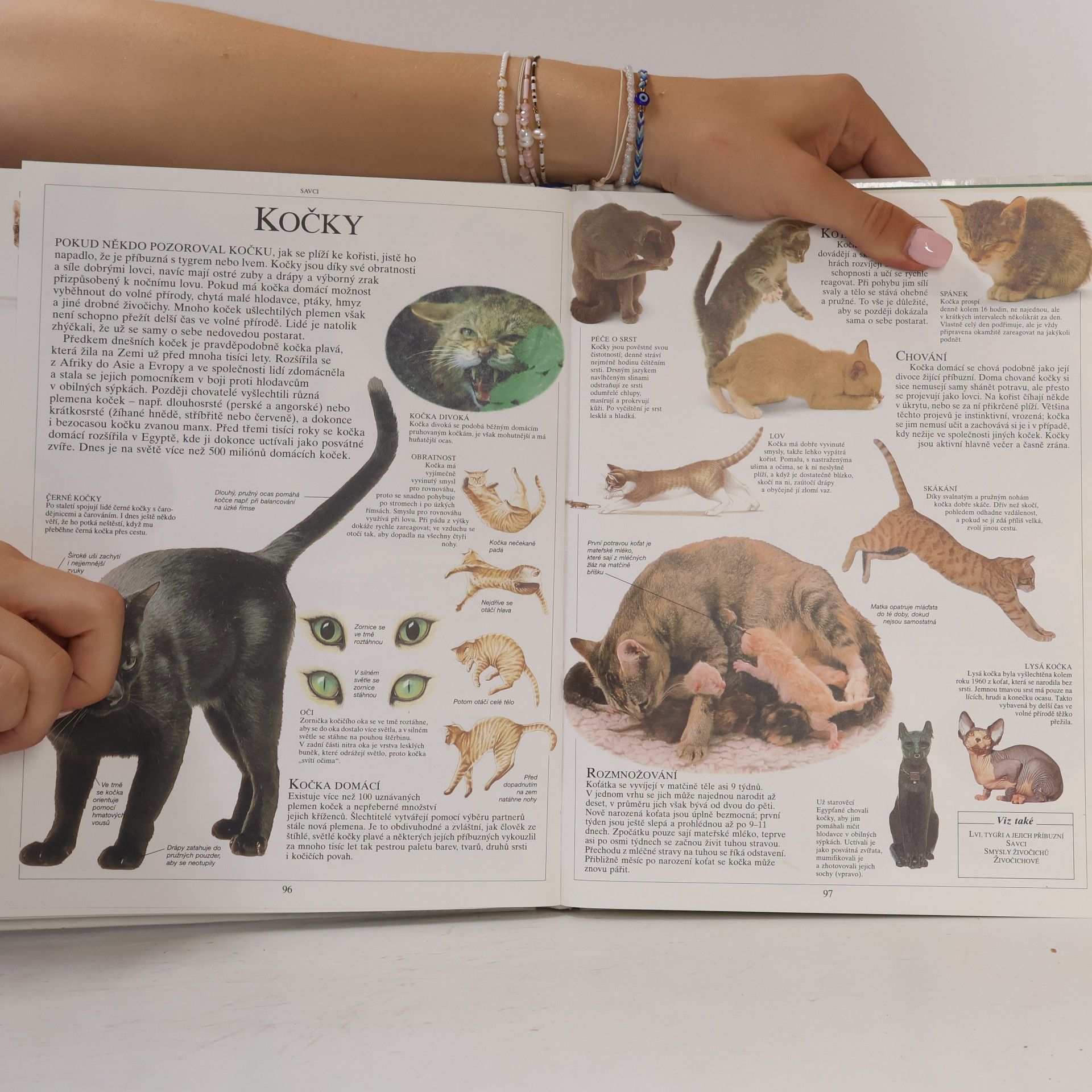 Various authors Dětská ilustrovaná encyklopedie II. Živý svět