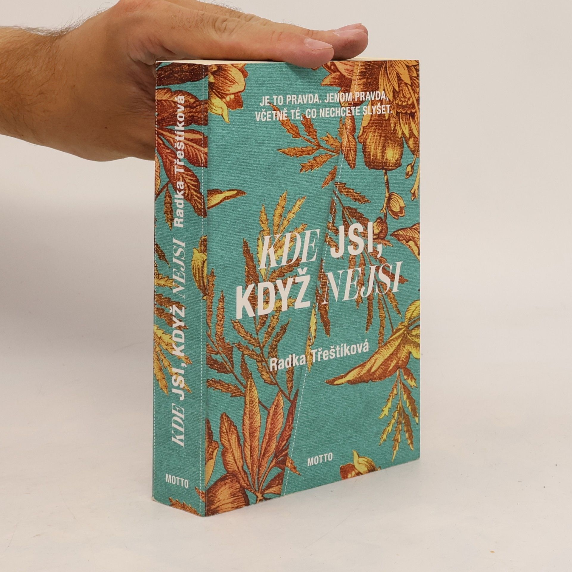 Radka Třeštíková Kde jsi, když nejsi