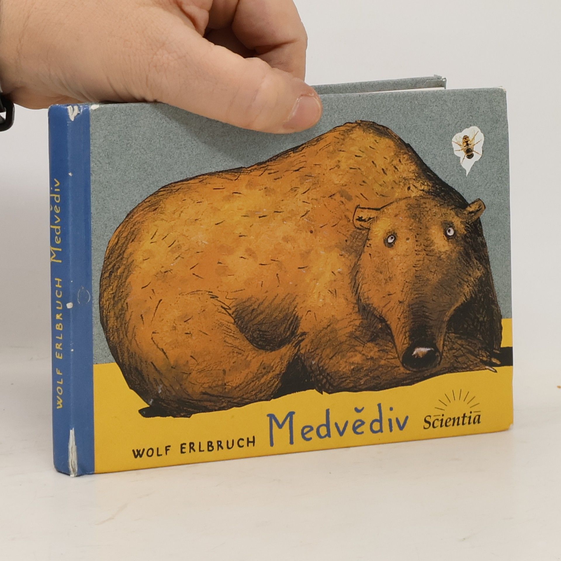 Wolf Erlbruch Medvědiv