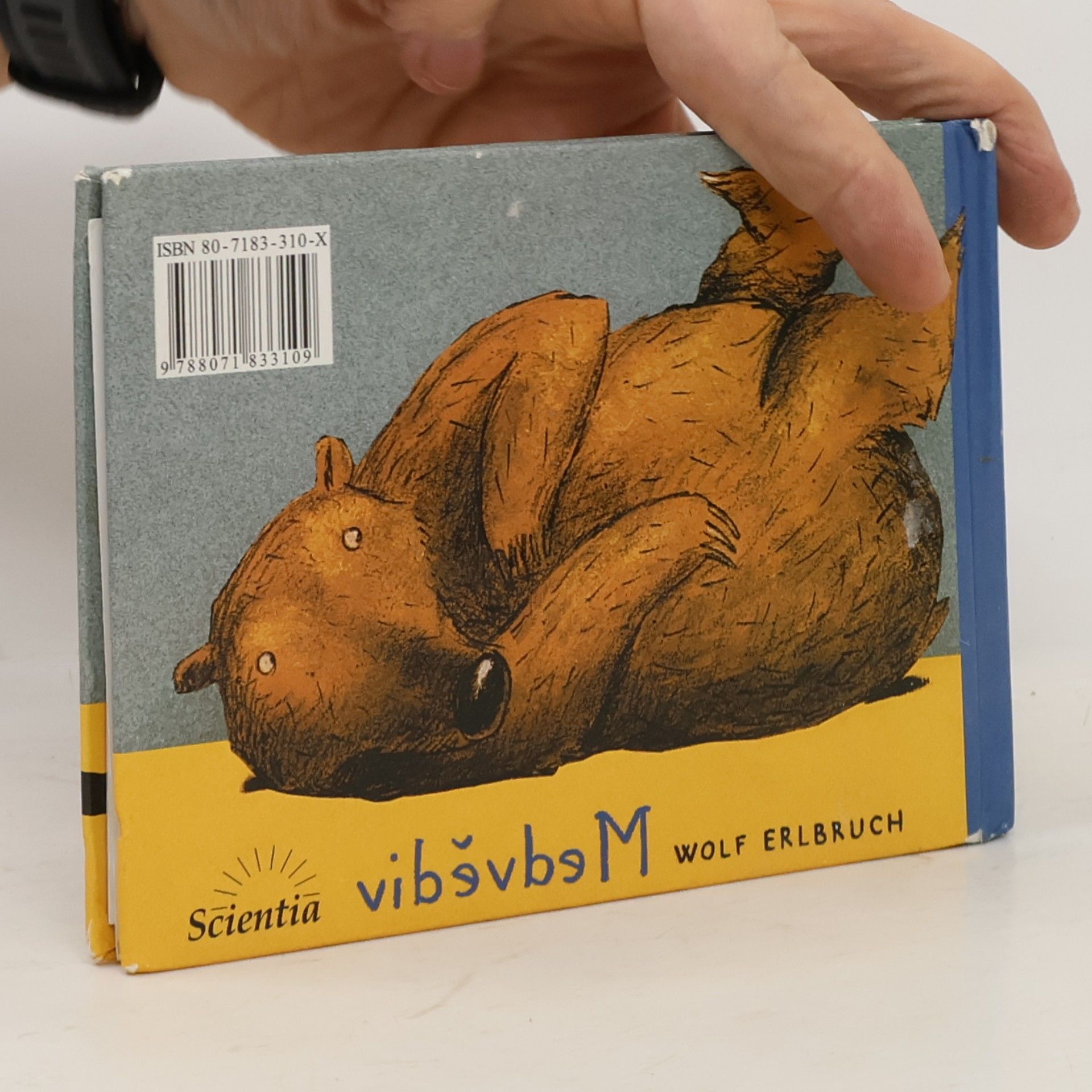 Wolf Erlbruch Medvědiv
