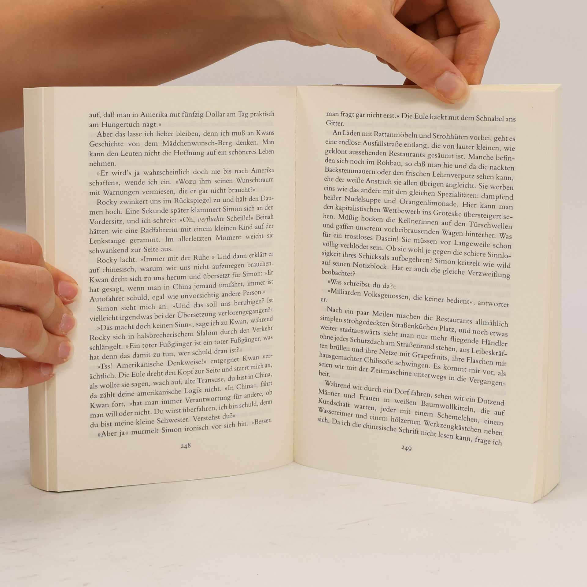 Amy Tan Die hundert verborgenen Sinne