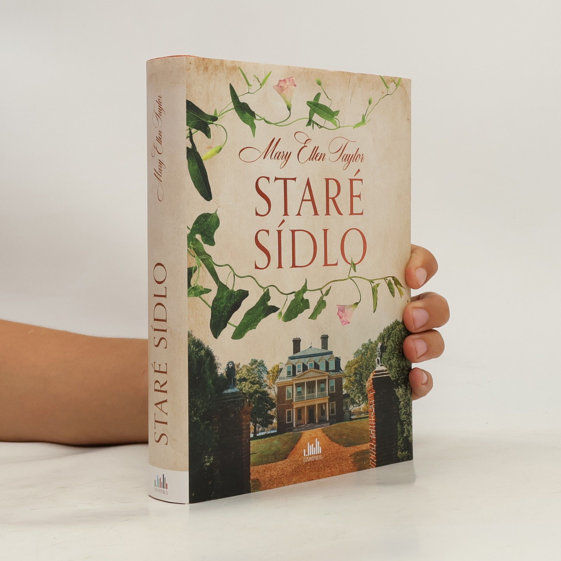 Mary Ellen Taylor Staré sídlo