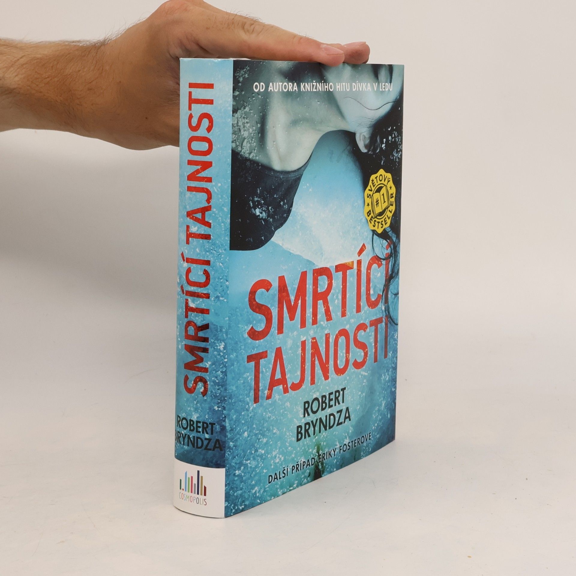 Robert Bryndza Smrtící tajnosti