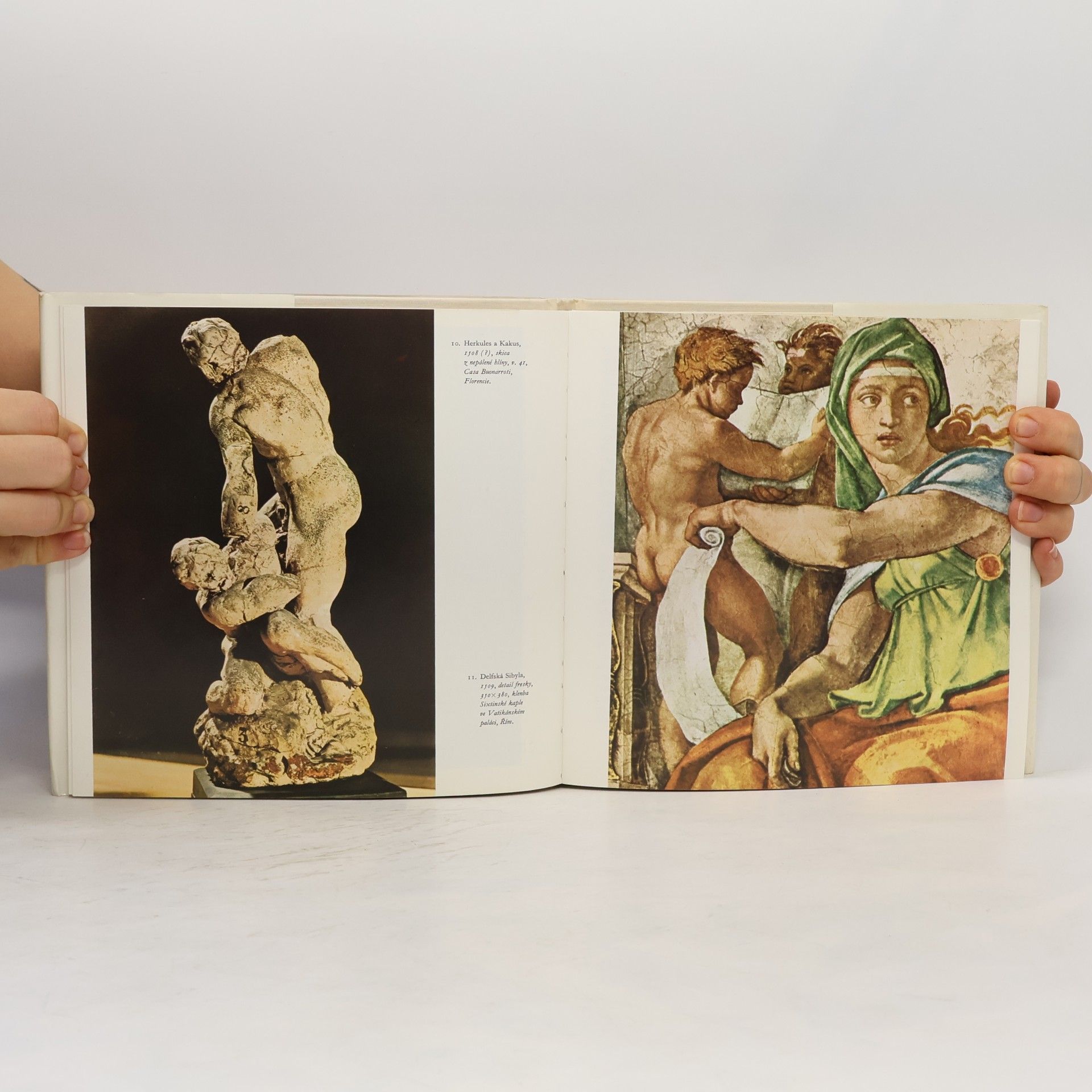 Oldřich J. Blažíček Michelangelo
