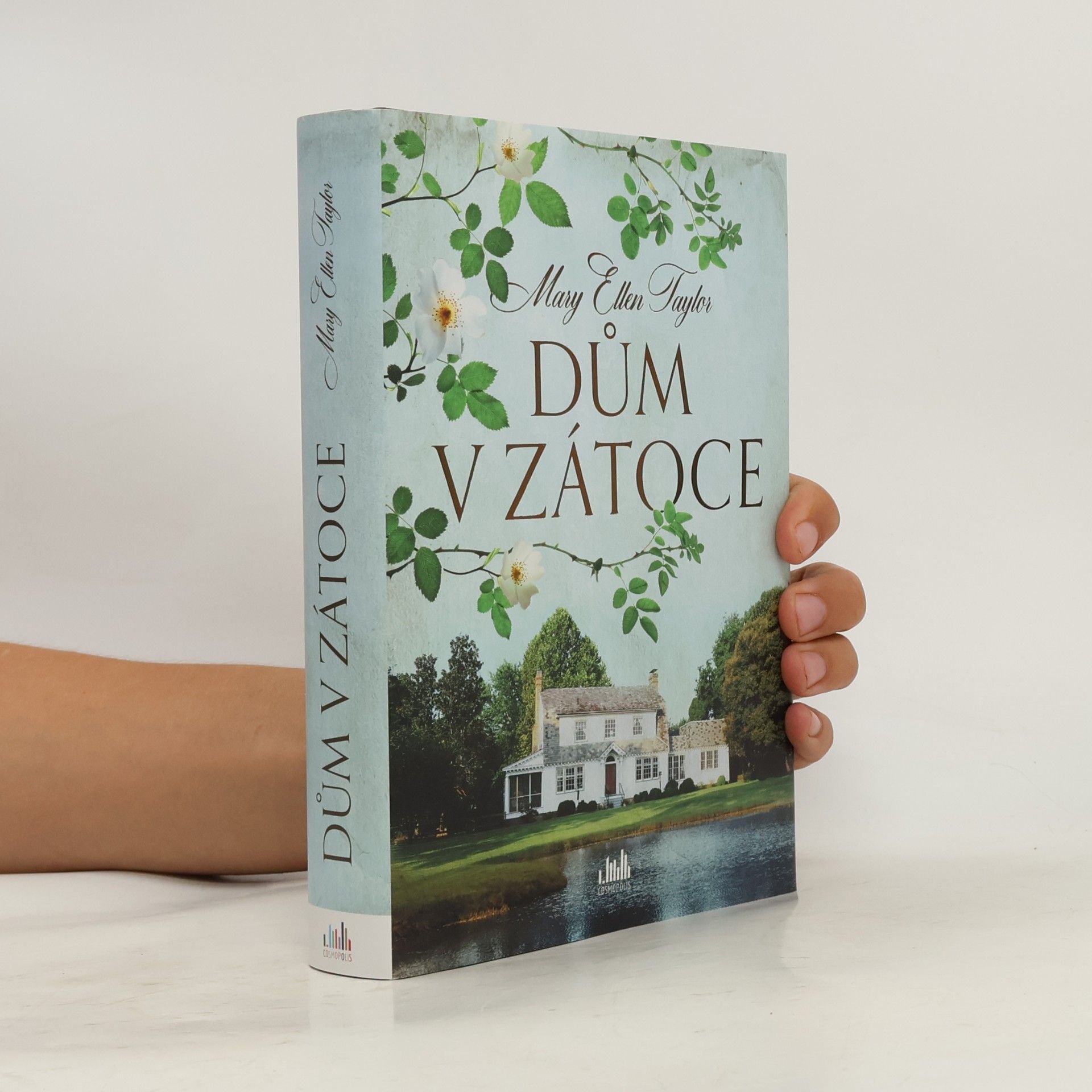 Mary Ellen Taylor Dům v zátoce