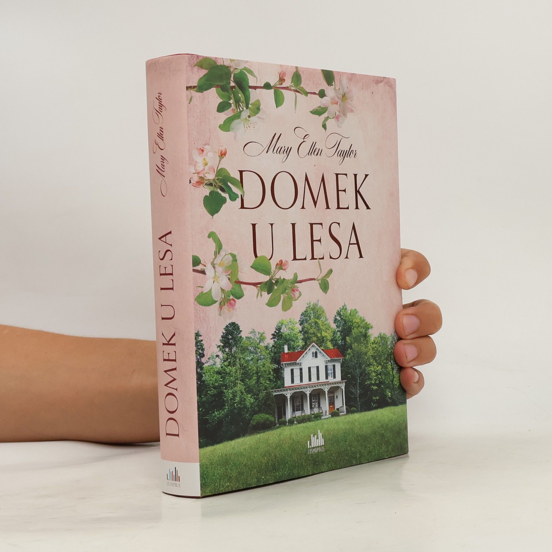 Mary Ellen Taylor Domek u lesa