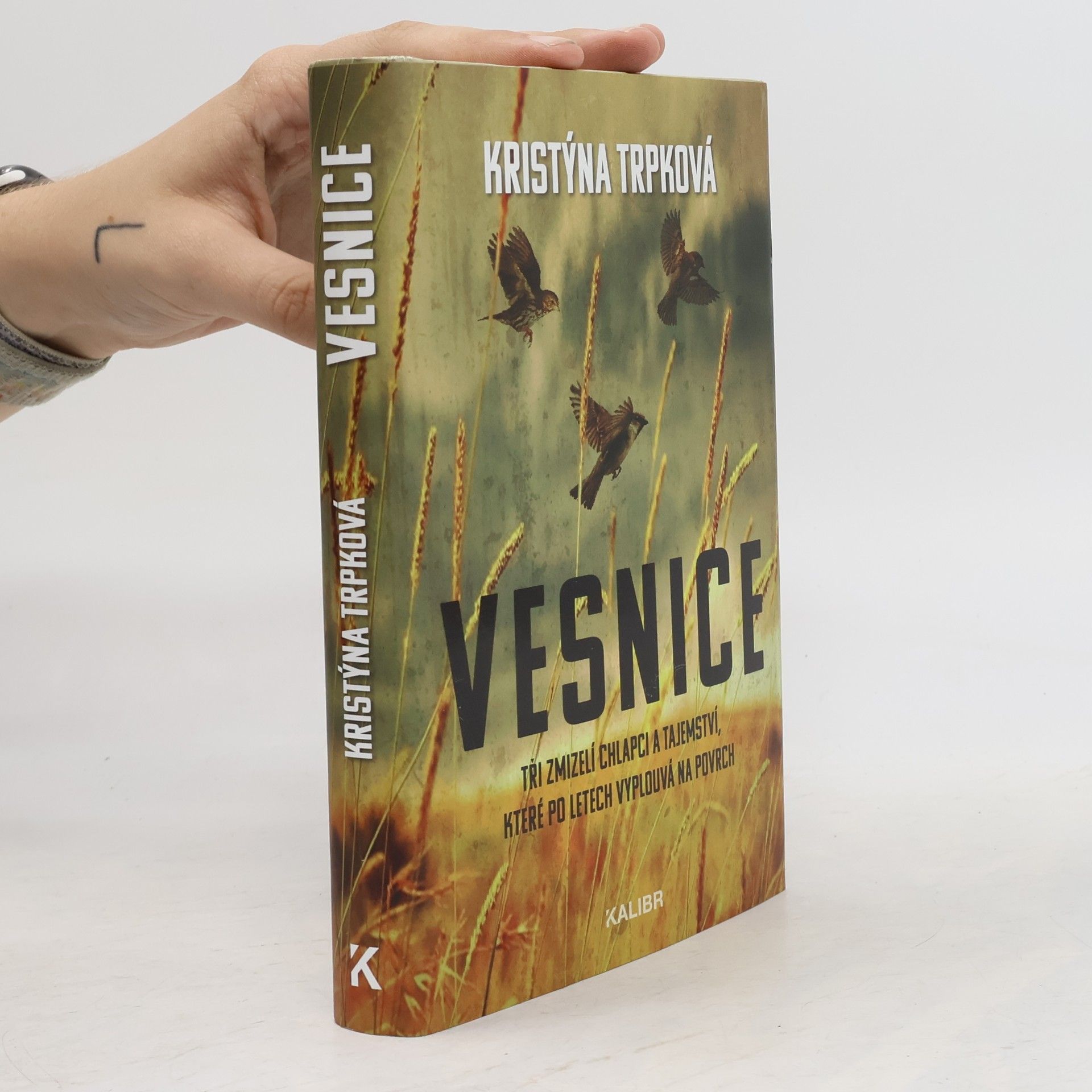 Kristýna Trpková Vesnice
