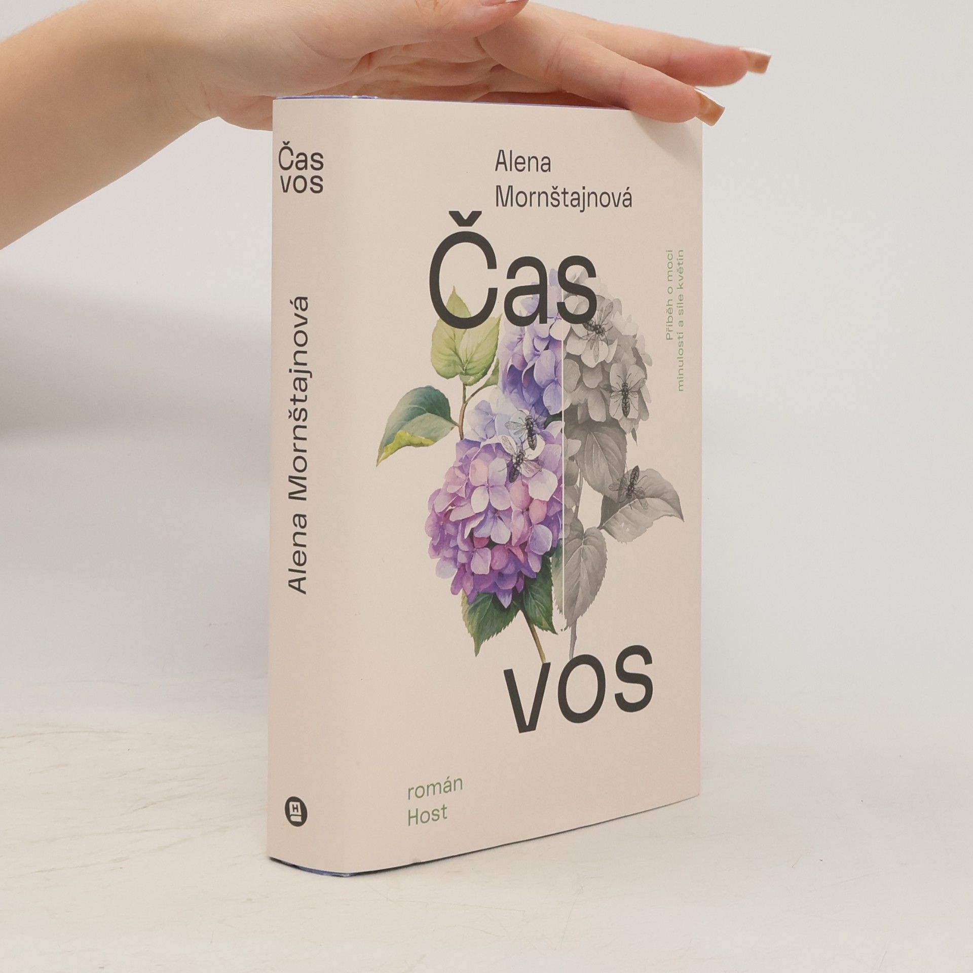 Alena Mornštajnová Čas vos