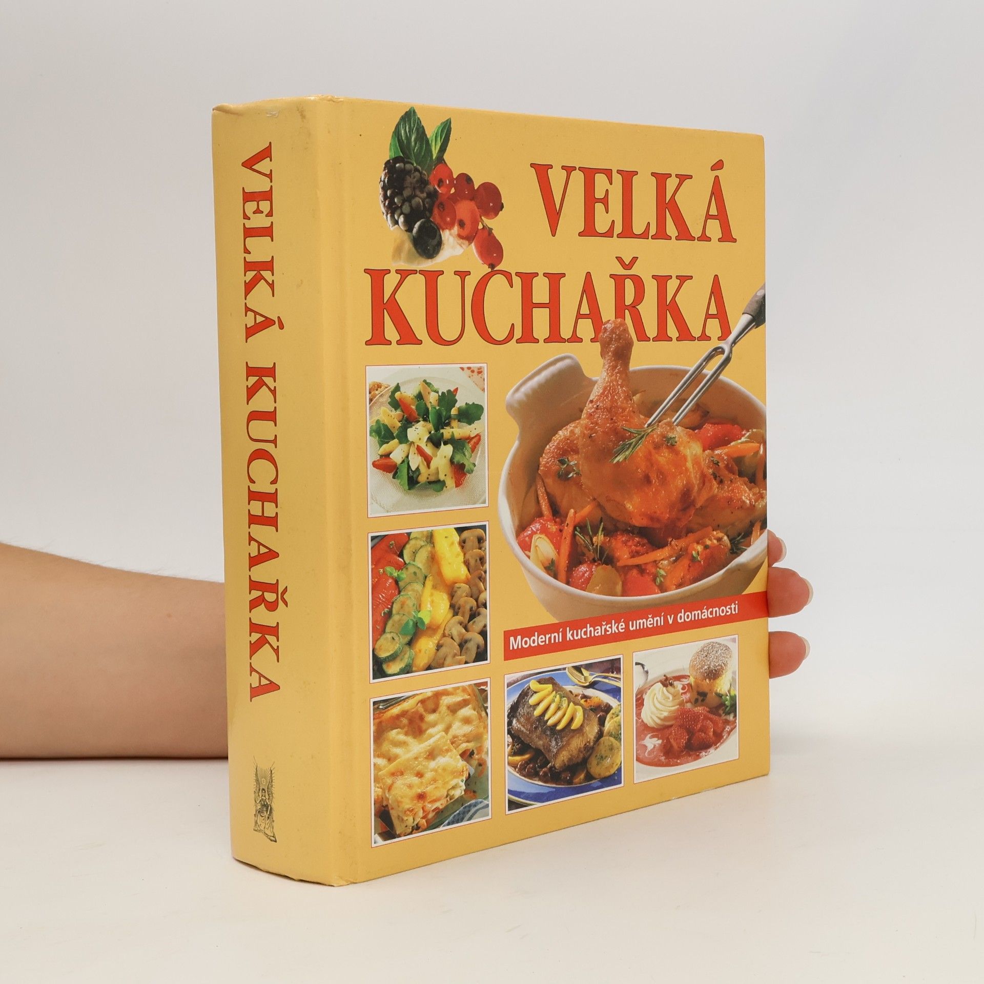 Kolektiv autorů Velká kuchařka