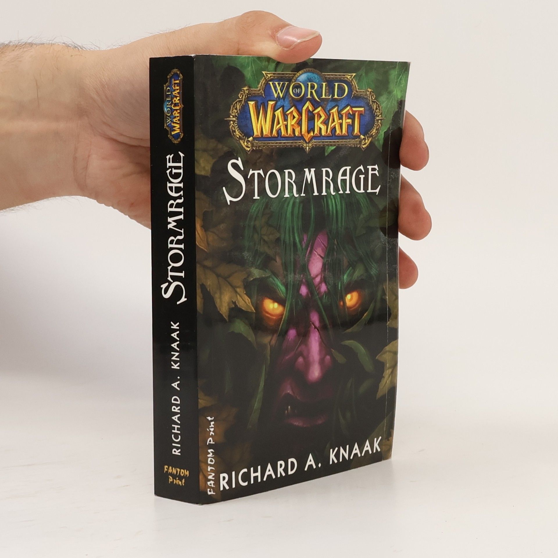 Richard A. Knaak World WarCraft. Stormrage