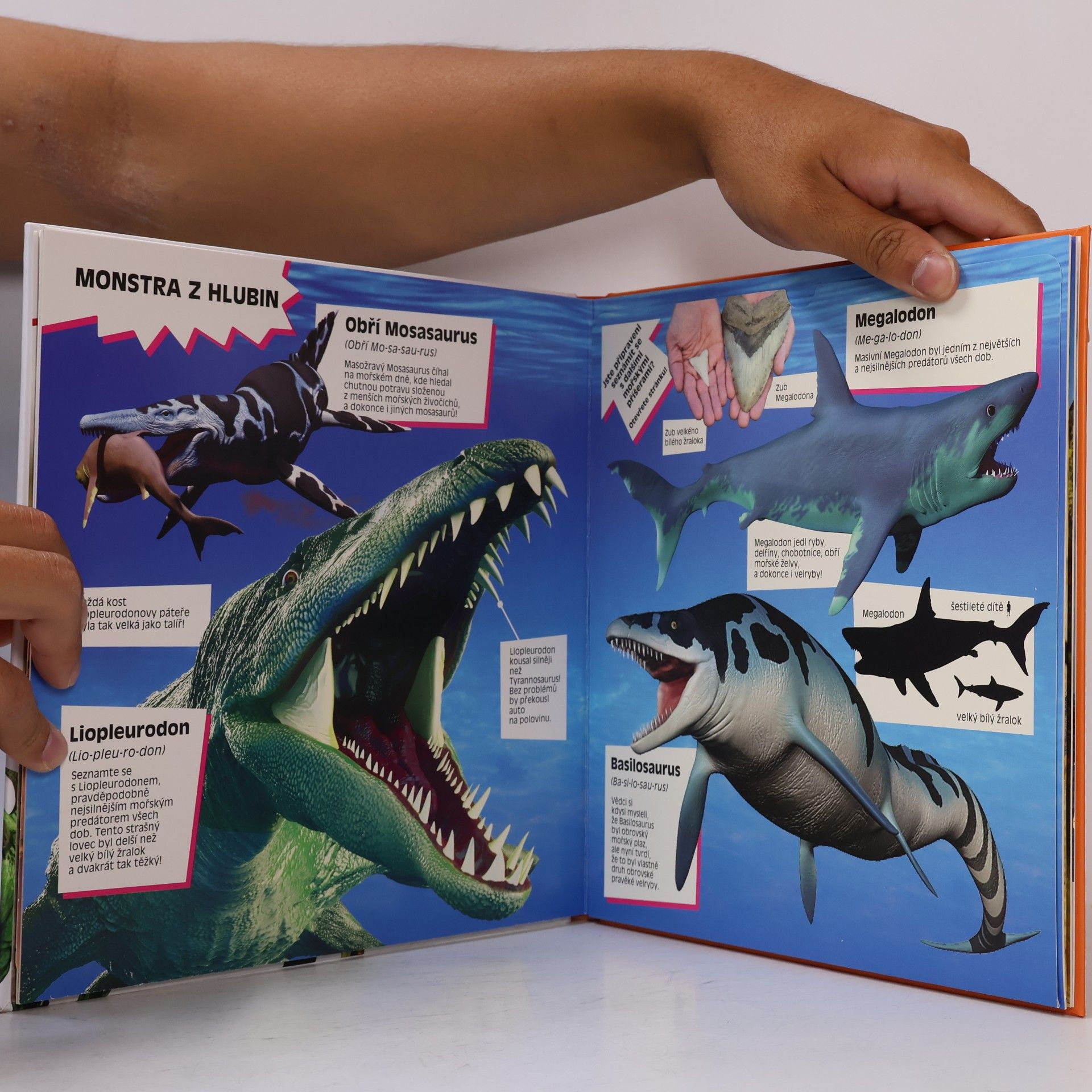 Marek Kurta Úžasní dinosauři : velké rozkládací strany plné faktů