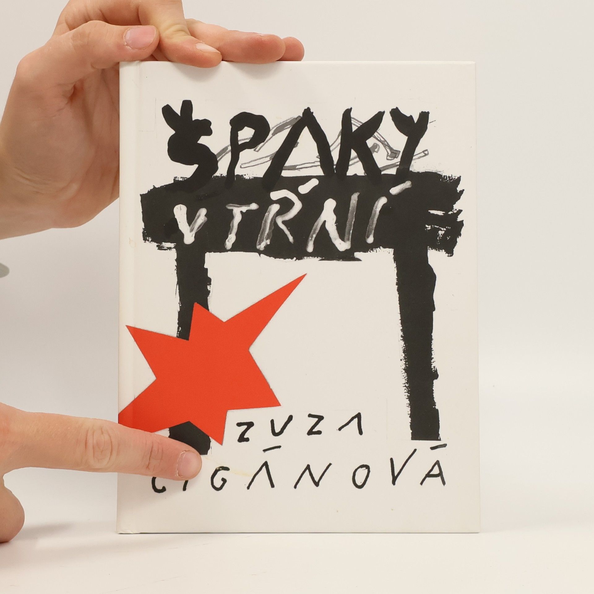 Zuzana Cigánová Špaky v tŕní