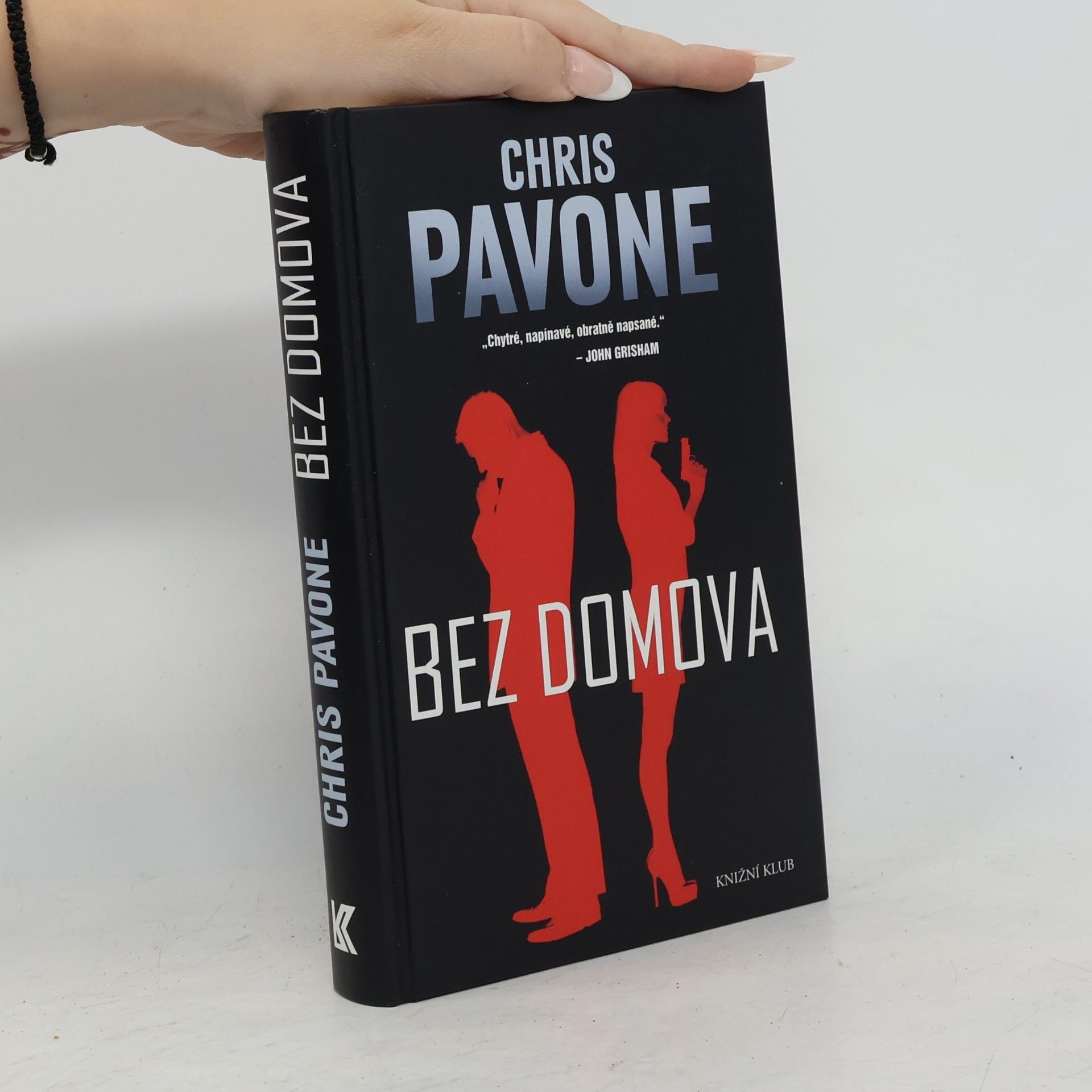 Chris Pavone Bez domova