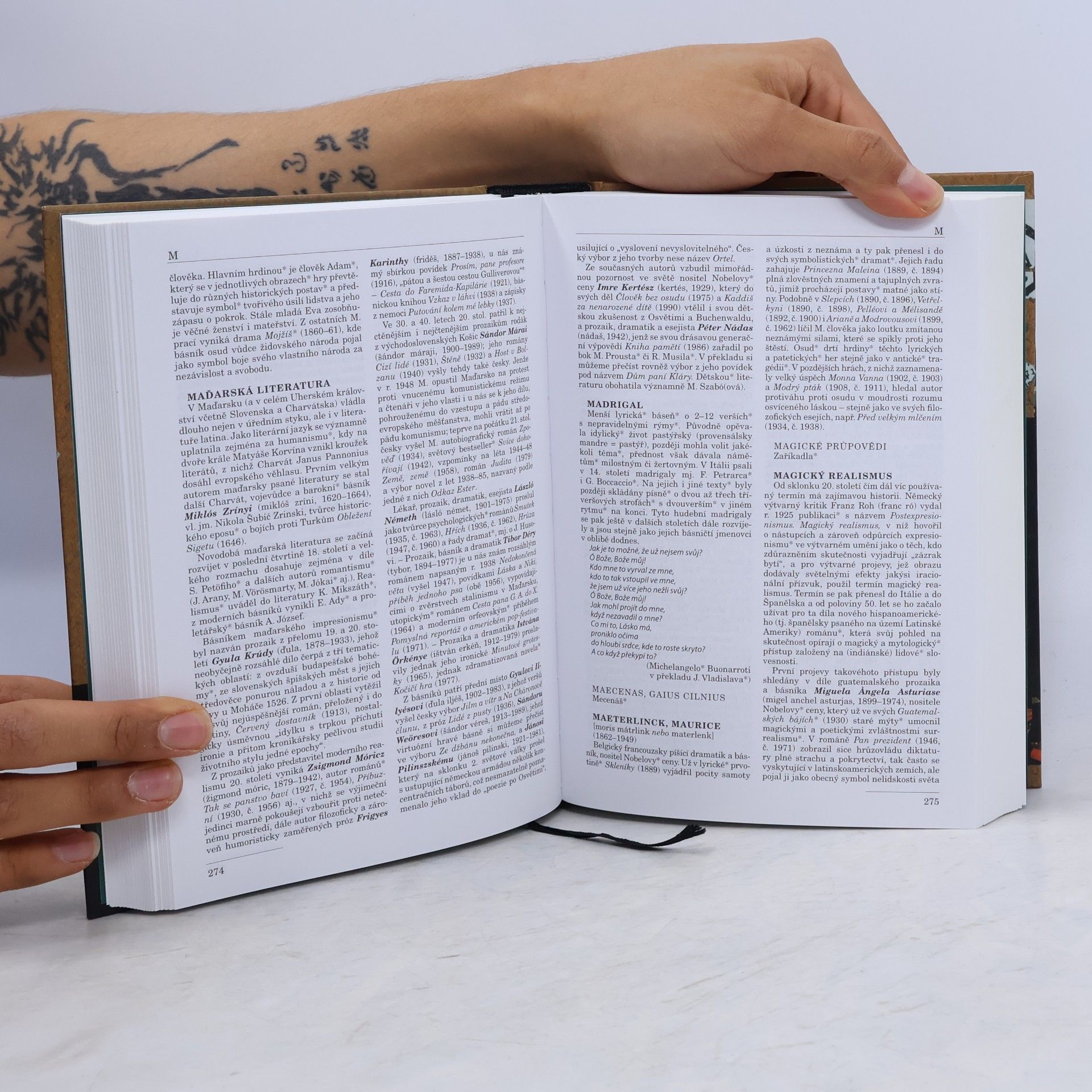 Dušan Karpatský Labyrint literatury