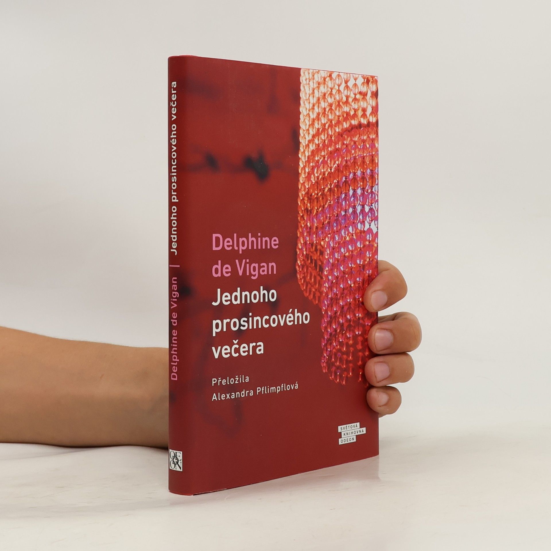 Delphine de Vigan Jednoho prosincového večera