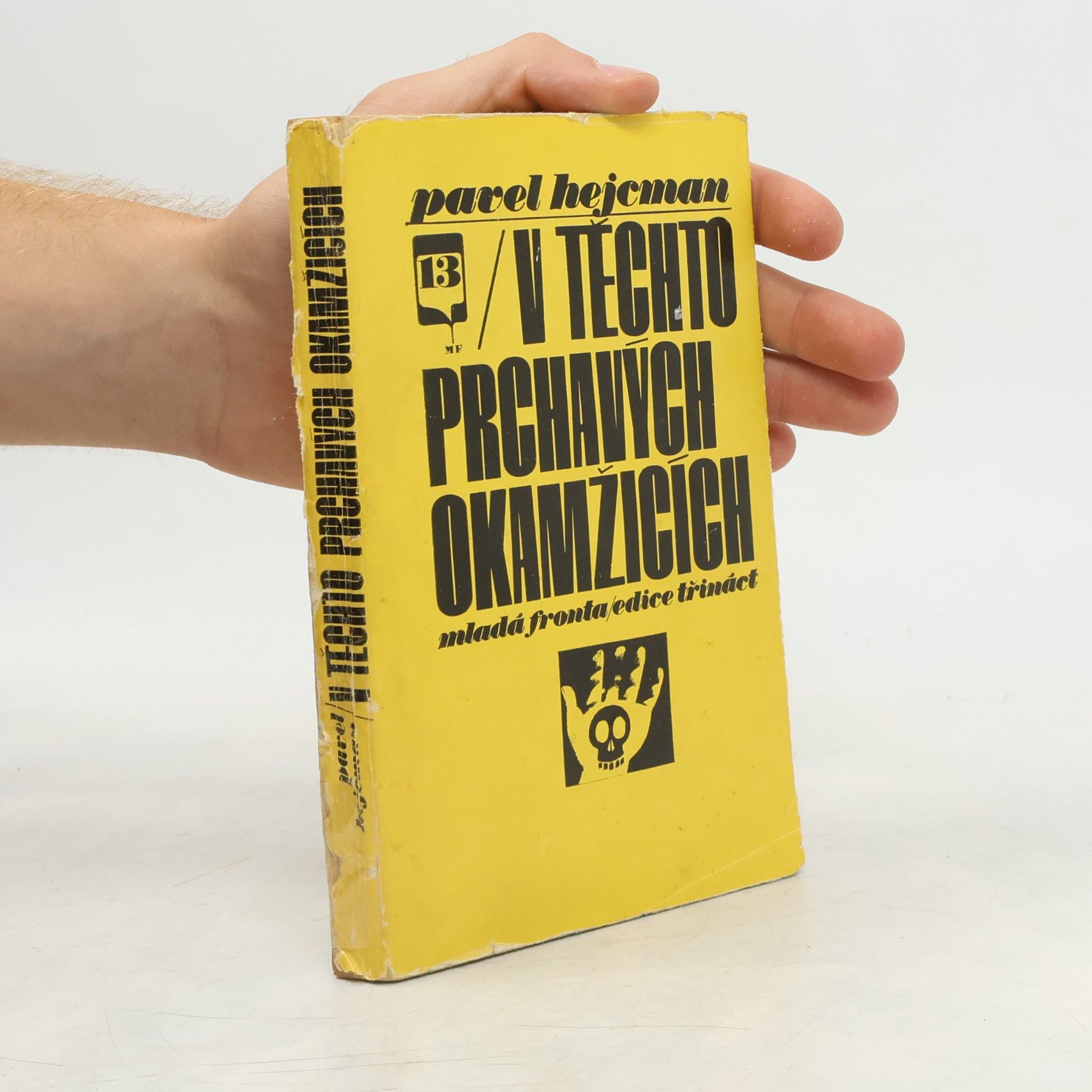 Pavel Hejcman V těchto prchavých okamžicích