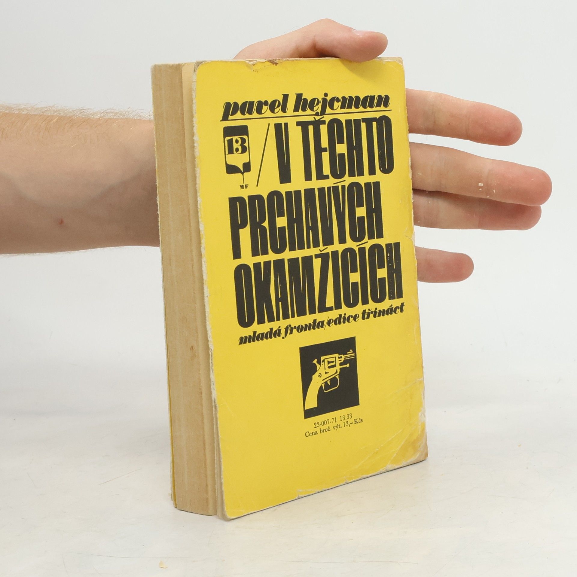 Pavel Hejcman V těchto prchavých okamžicích