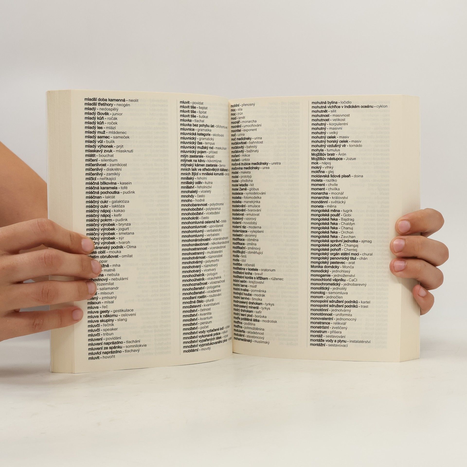 Autorenkollektiv Křížovkářský mozek : 70 000 slov a hesel