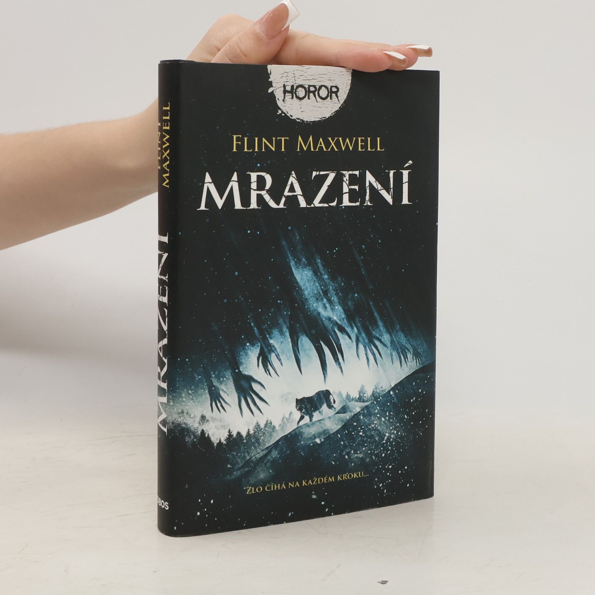 Flint Maxwell Mrazení