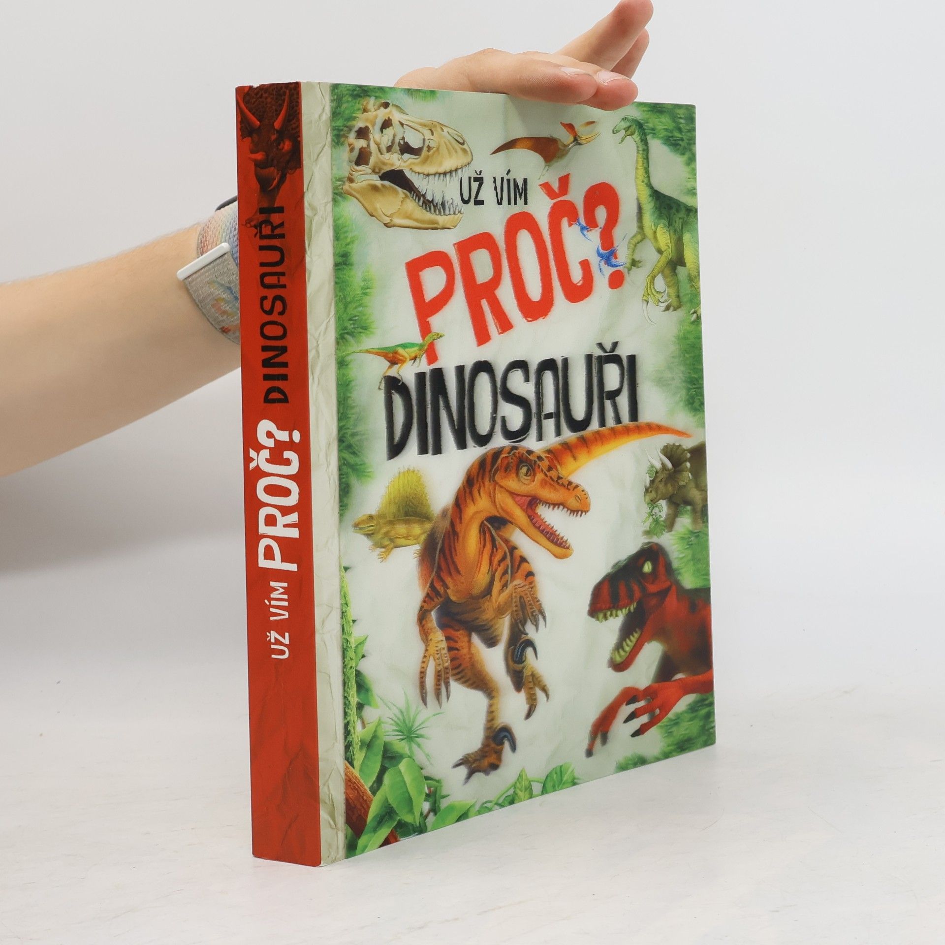 Kateřina Brouk Dinosauři
