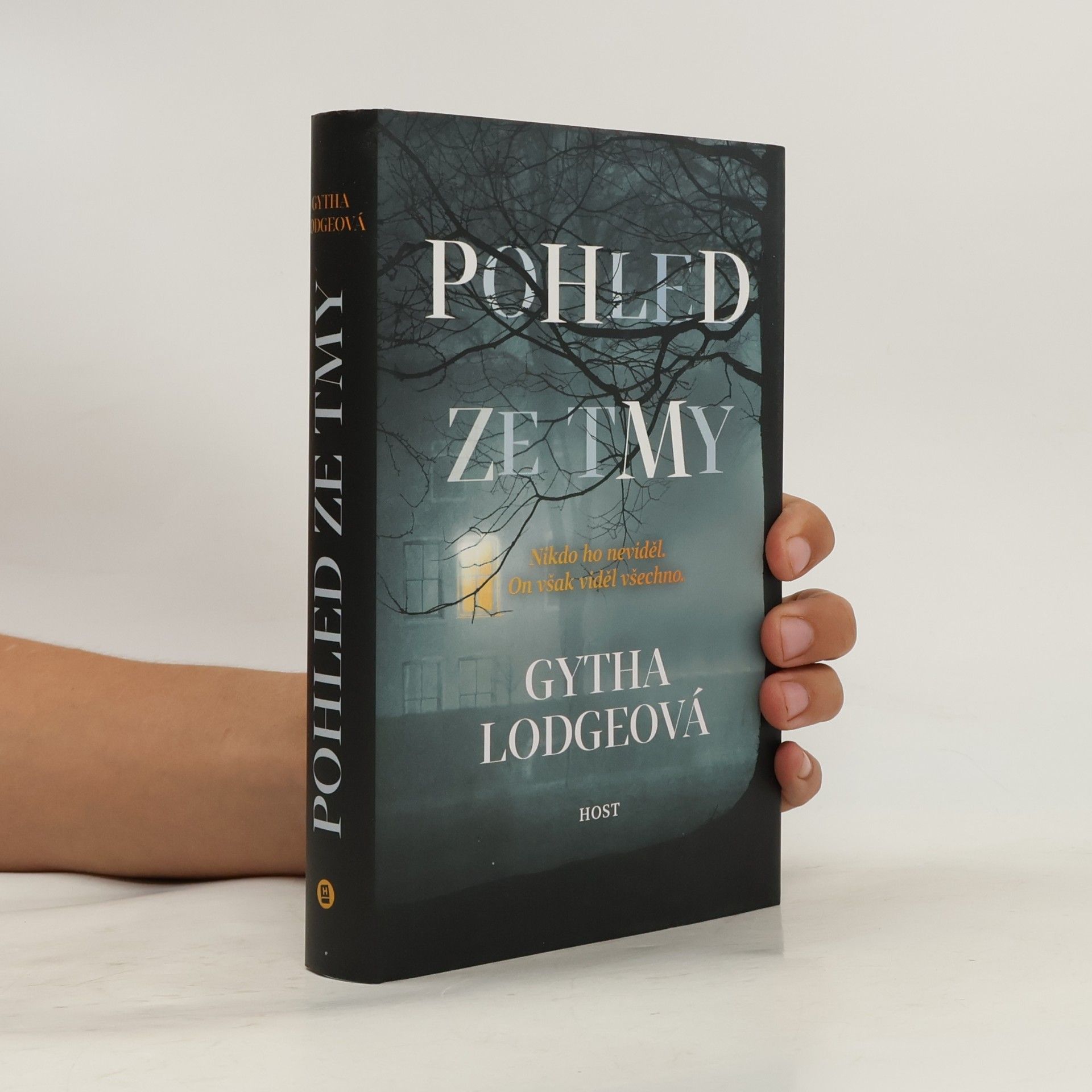 Gytha Lodge Pohled ze tmy