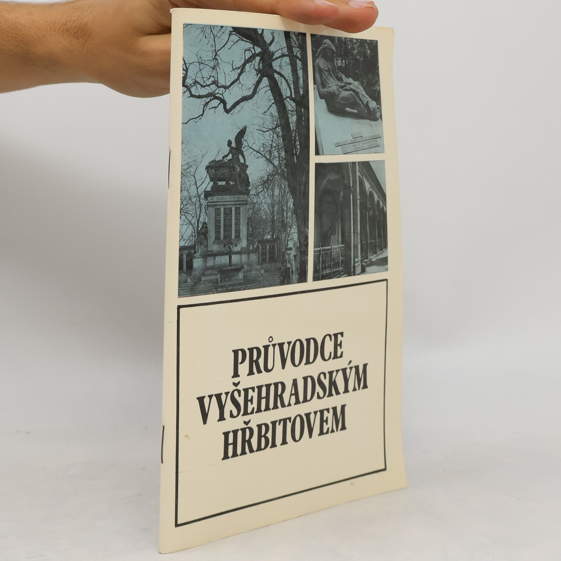 Borivoj Nechvatal Průvodce vyšehradským hřbitovem