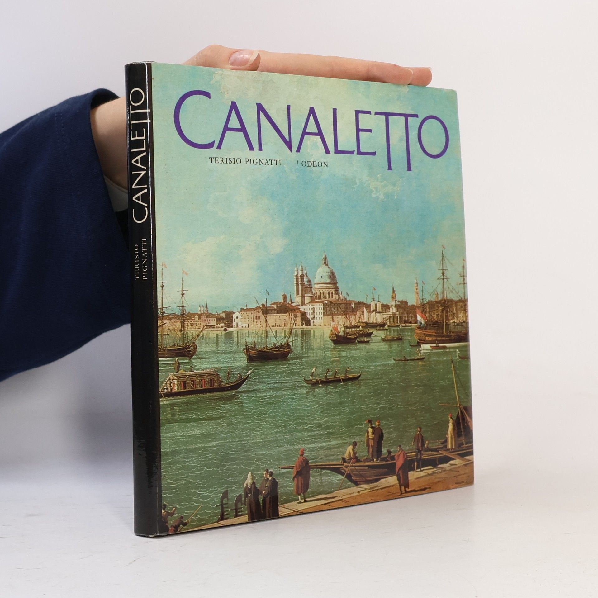 Terisio Pignatti Canaletto