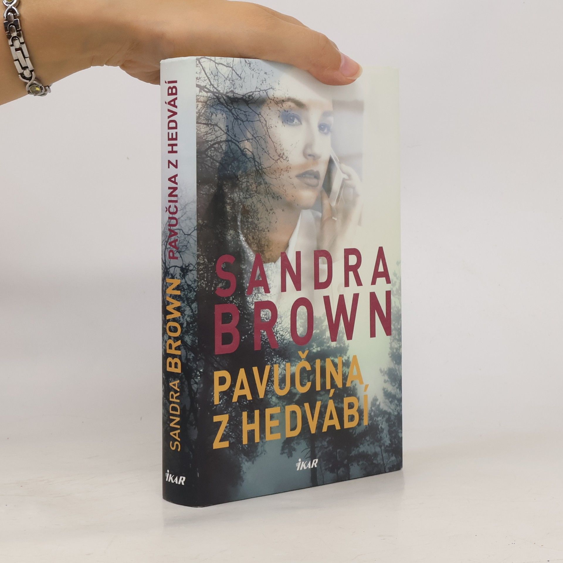 Sandra Brown Pavučina z hedvábí