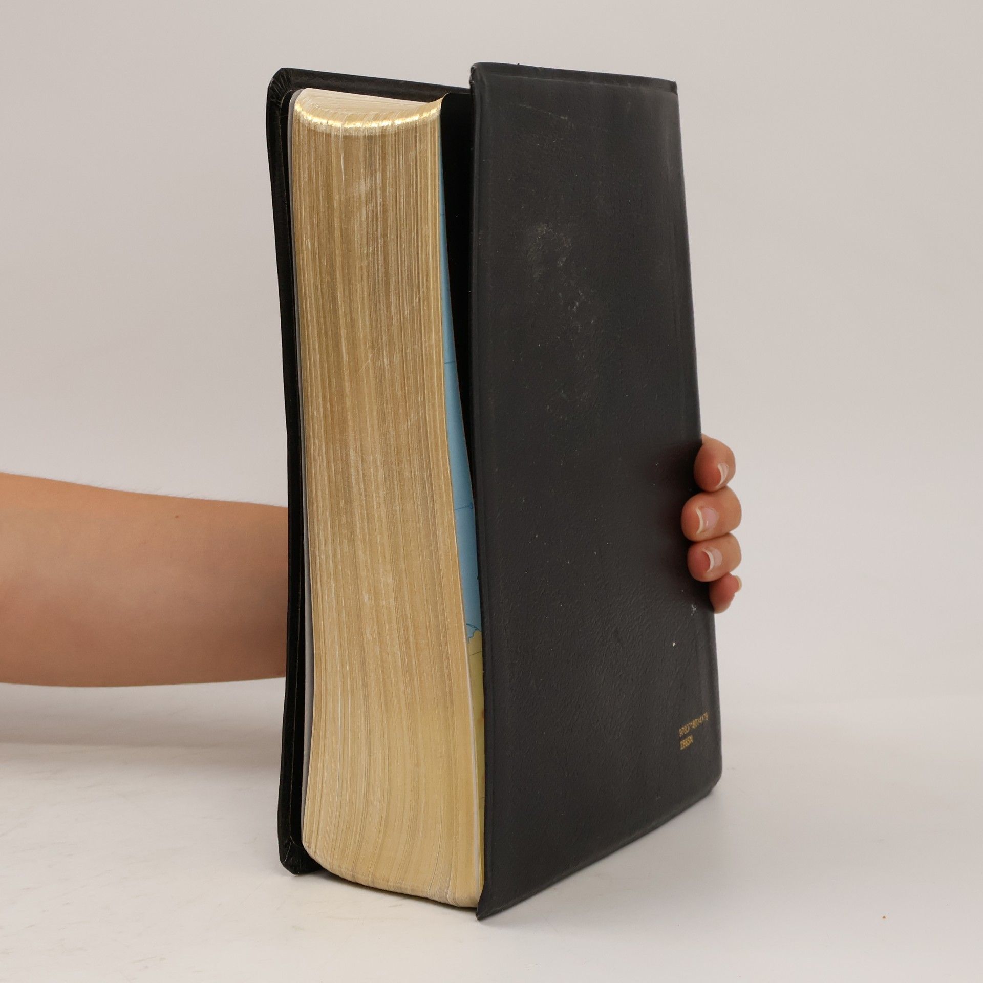 Various authors The Nelson Study Bible