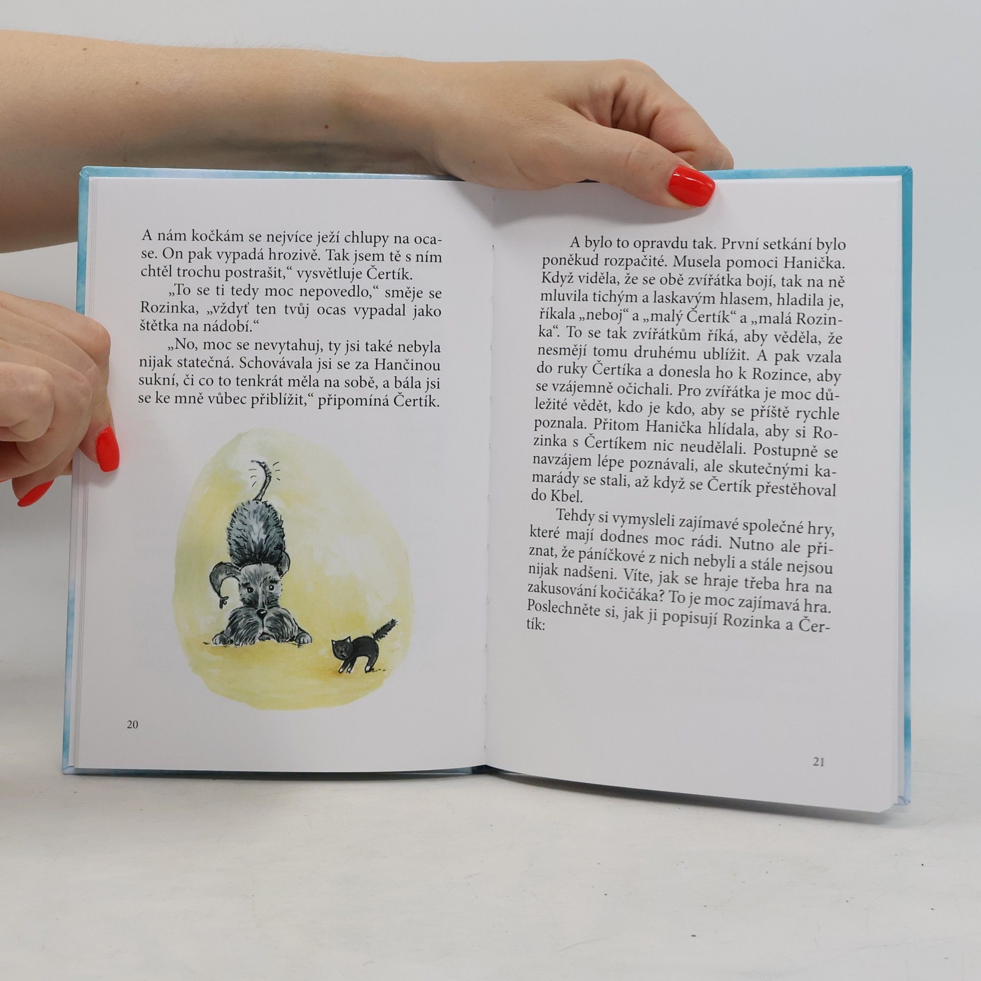 Vladimíra Dvořáková O Rozince a Čertíkovi
