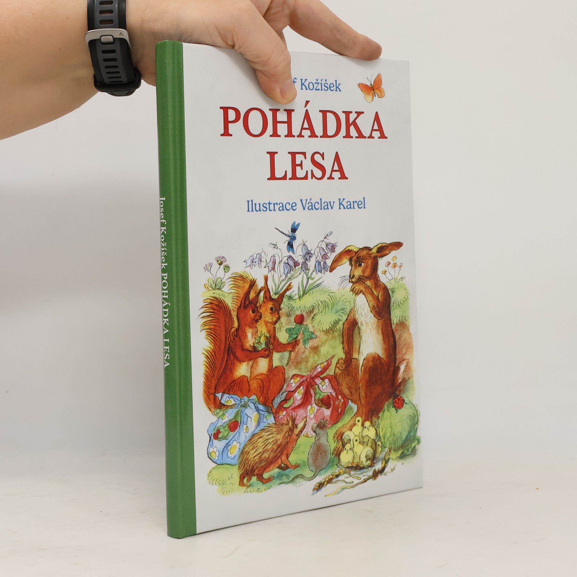 Nakladatelství SUN s.r.o Pohádka lesa