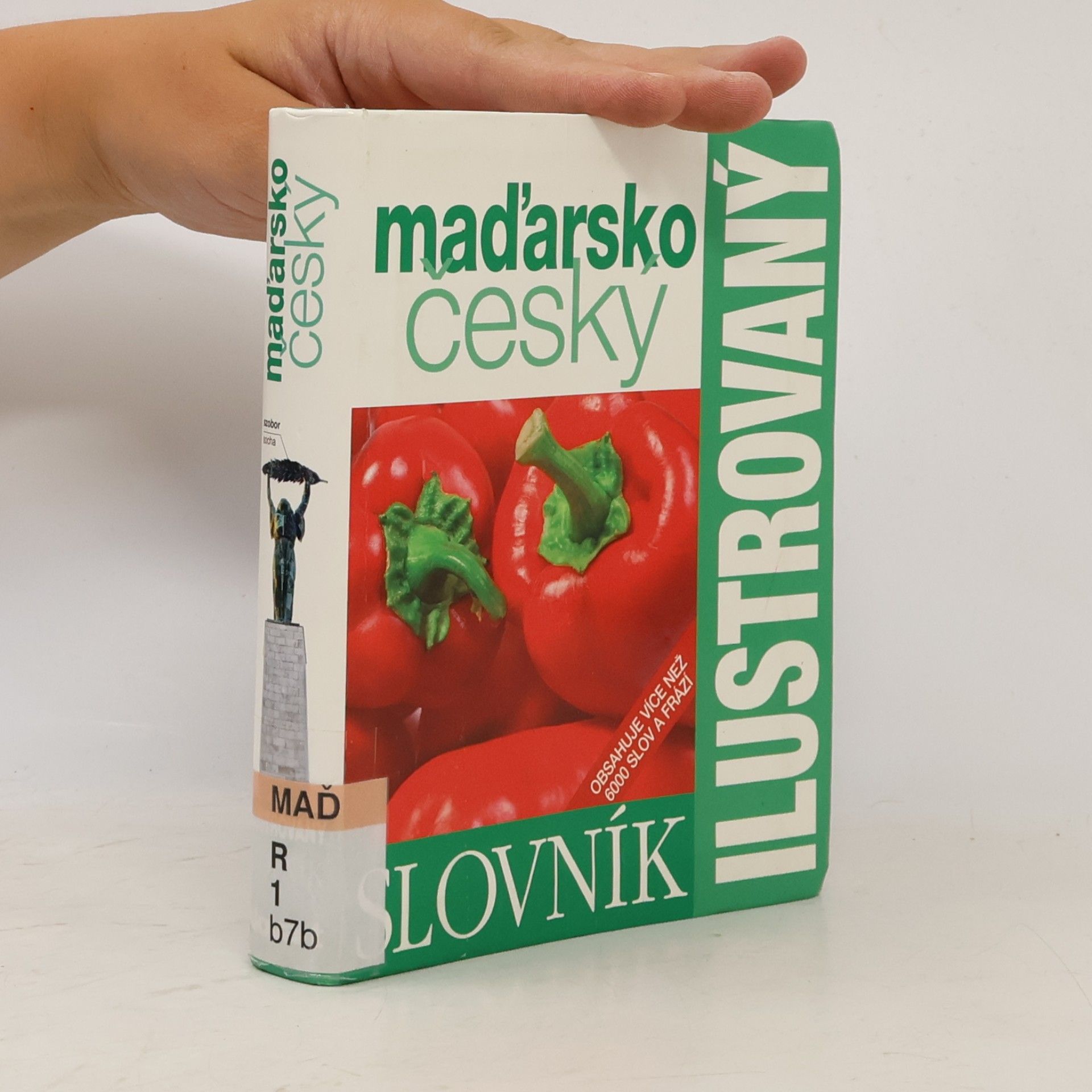 Kolektív autorov Maďarsko český ilustrovaný slovník