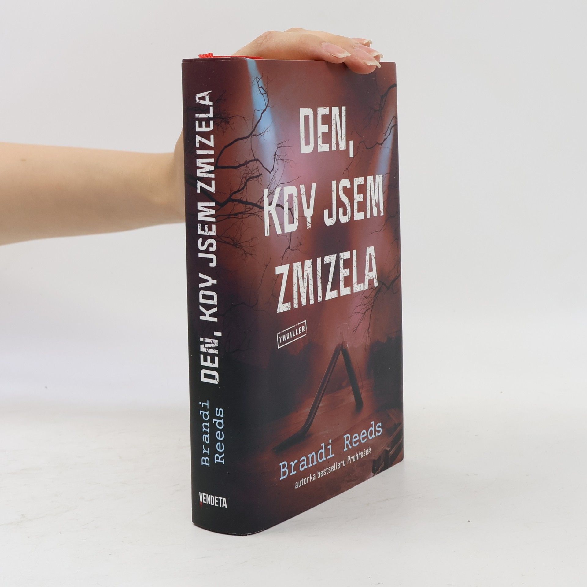 Brandi Reeds Den, kdy jsem zmizela
