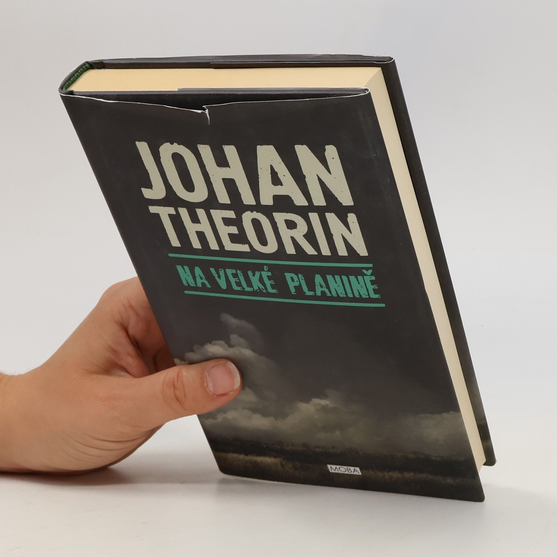 Johan Theorin Na velké planině